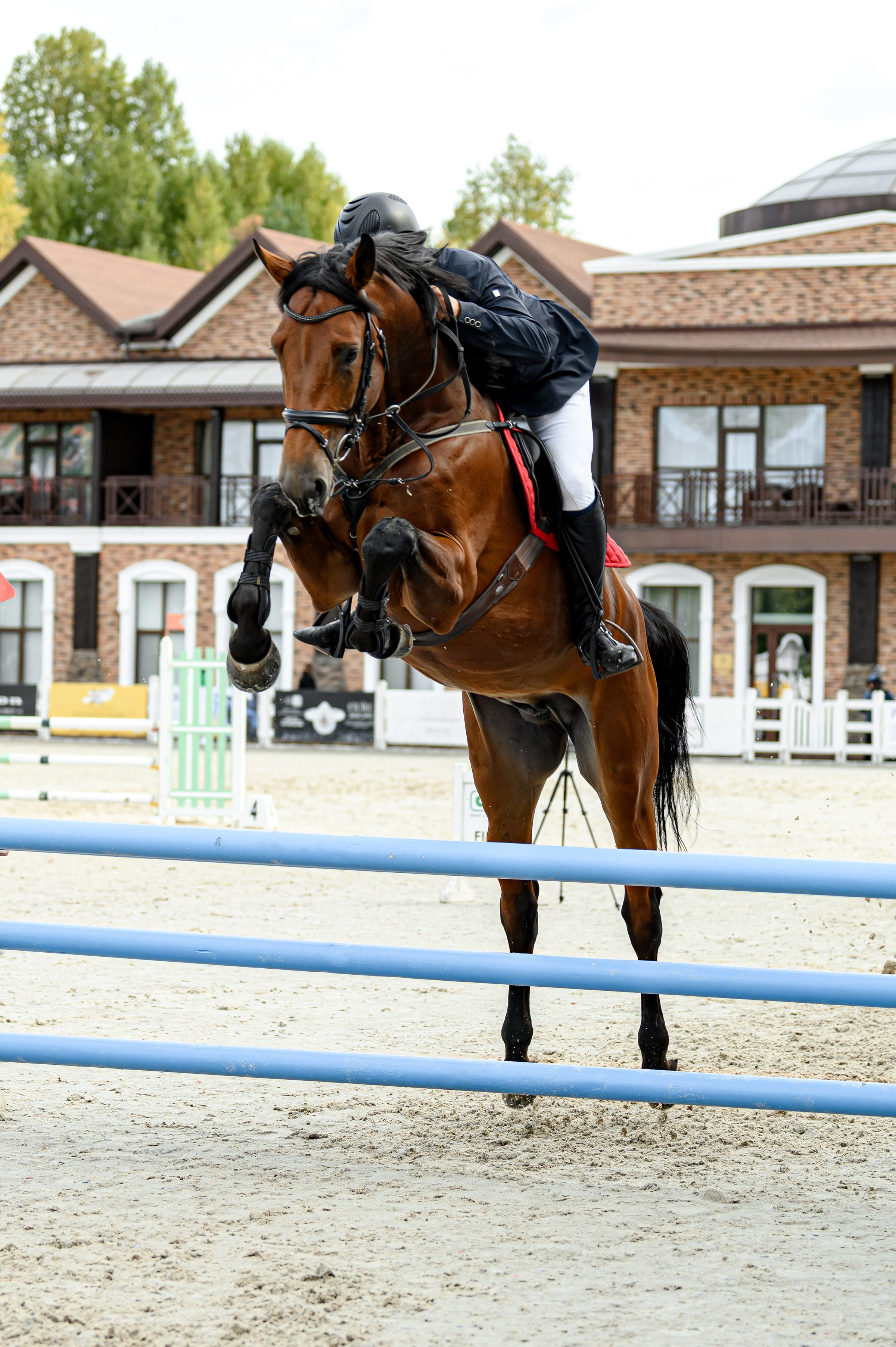 EQUIDES CUP 2023. Свадебный и семейный фотограф