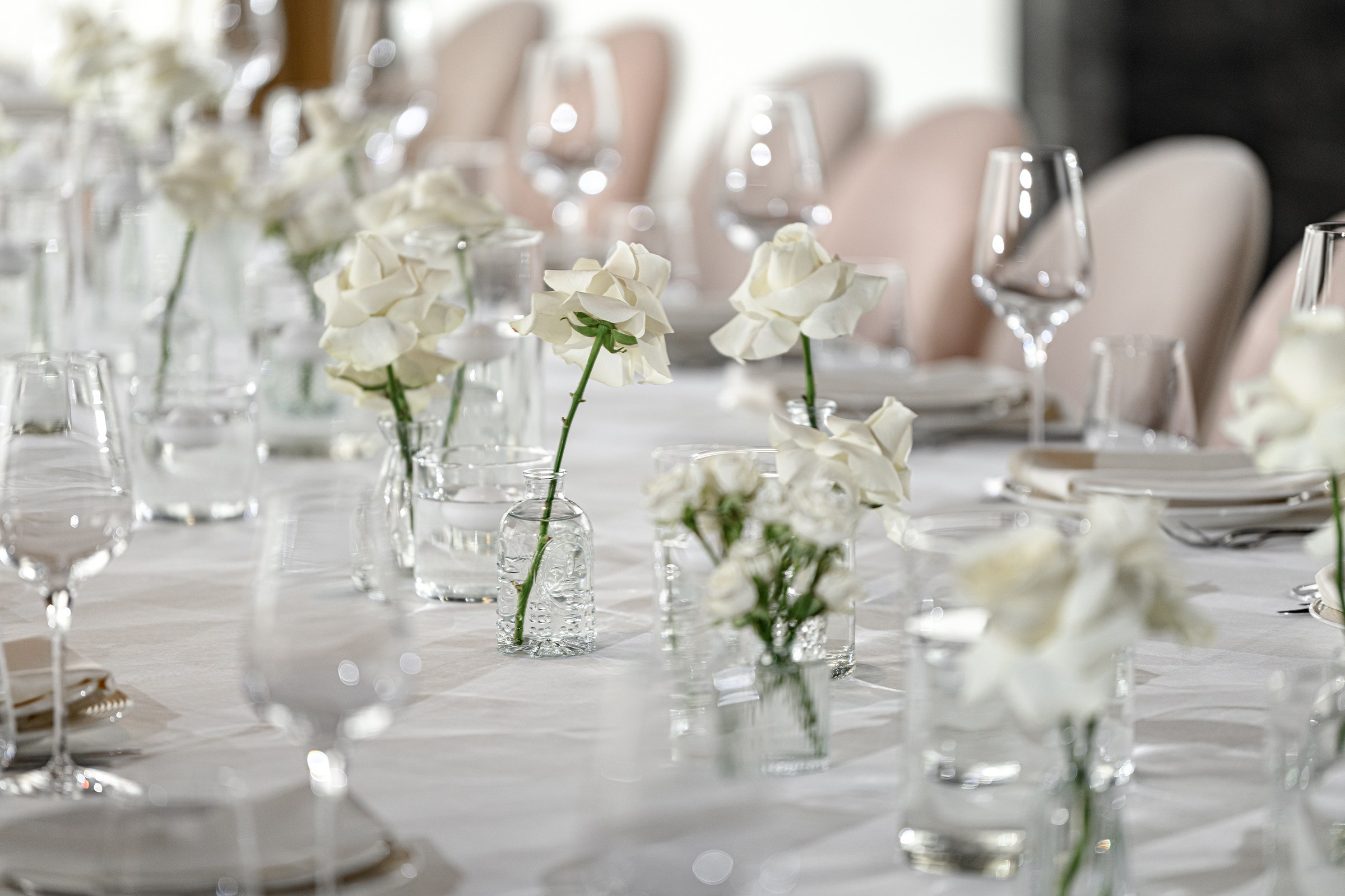 «GENDER PARTY». Свадебный и семейный фотограф