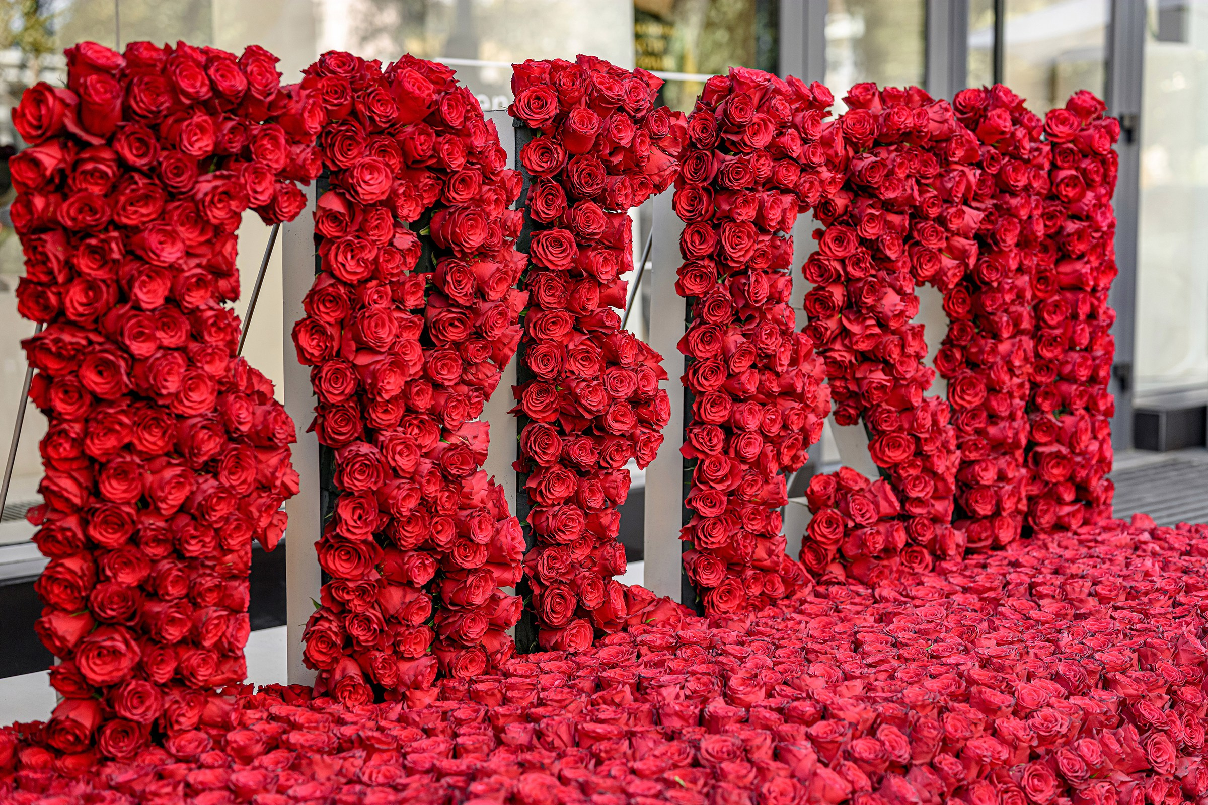 «FREESIA». Свадебный и семейный фотограф
