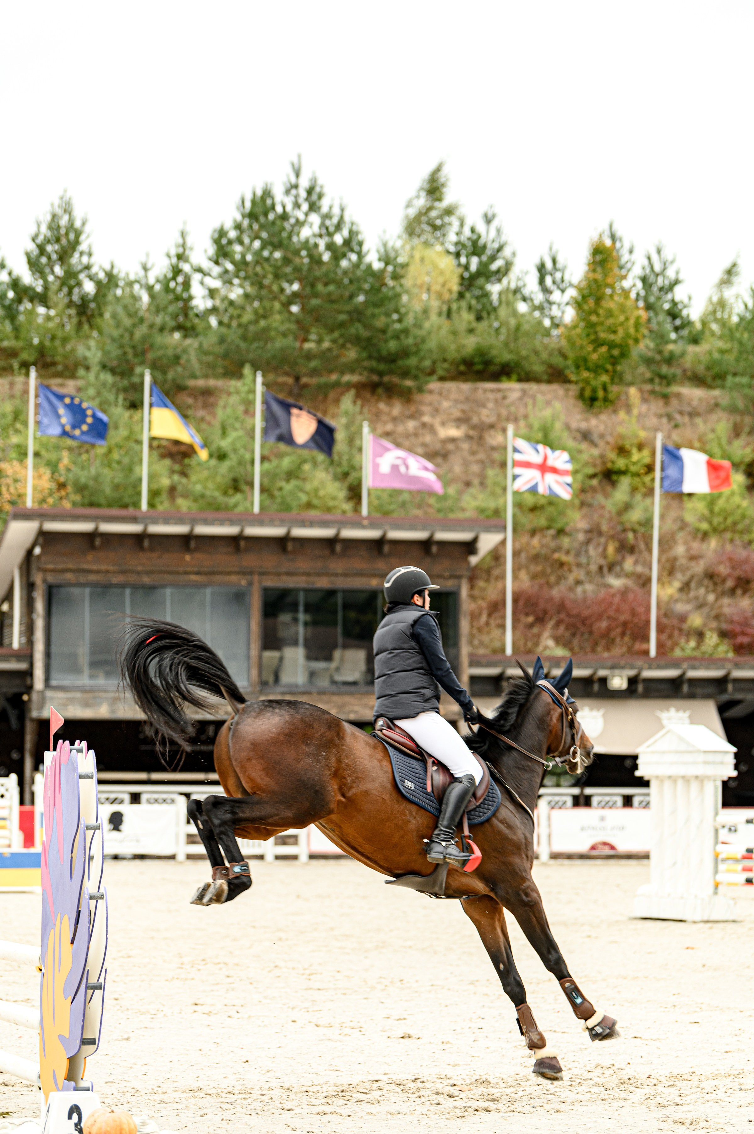 EQUIDES CUP 2023. Свадебный и семейный фотограф
