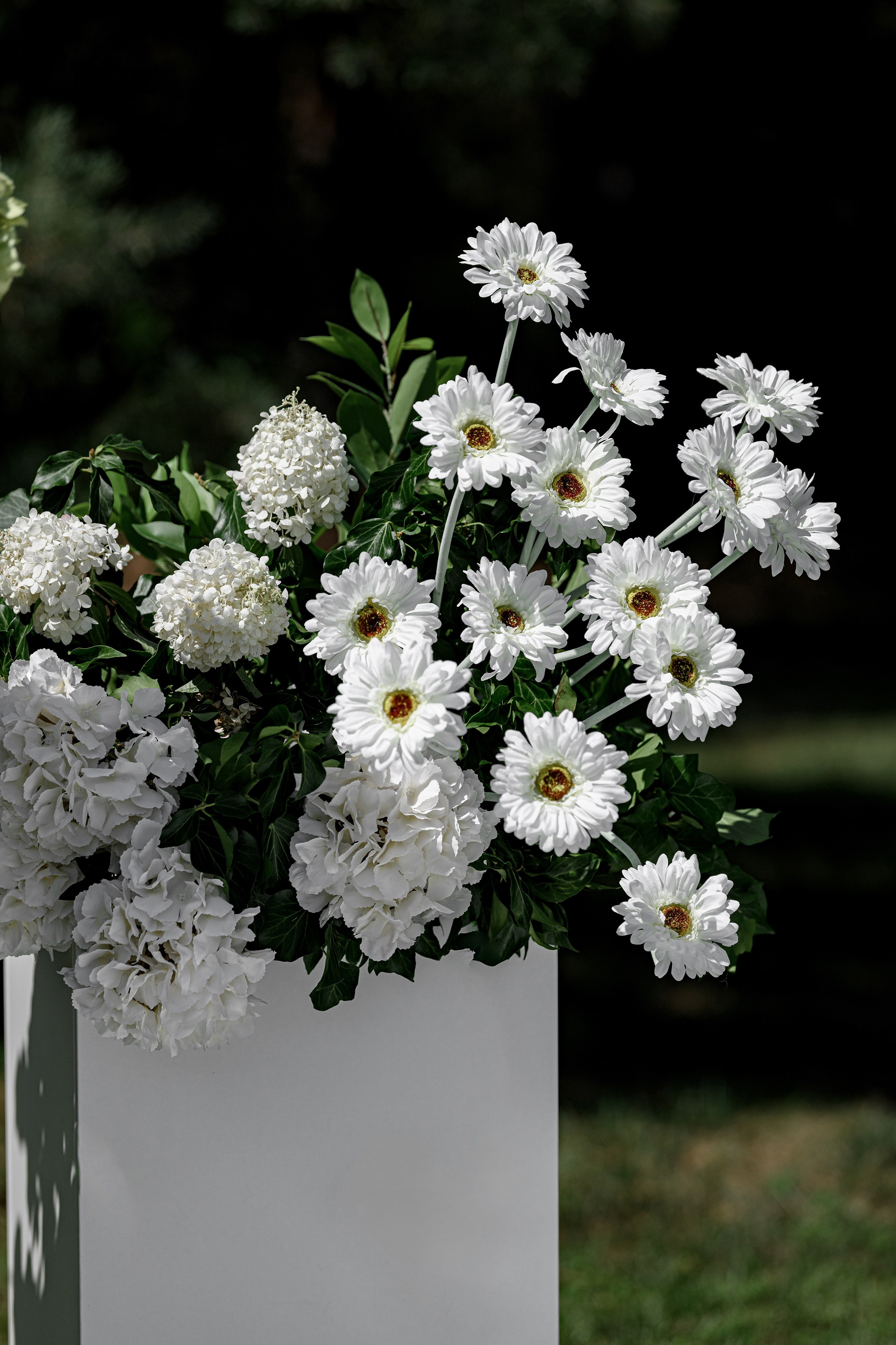 ОЛЕКСІЙ & ДІАНА. Свадебный и семейный фотограф