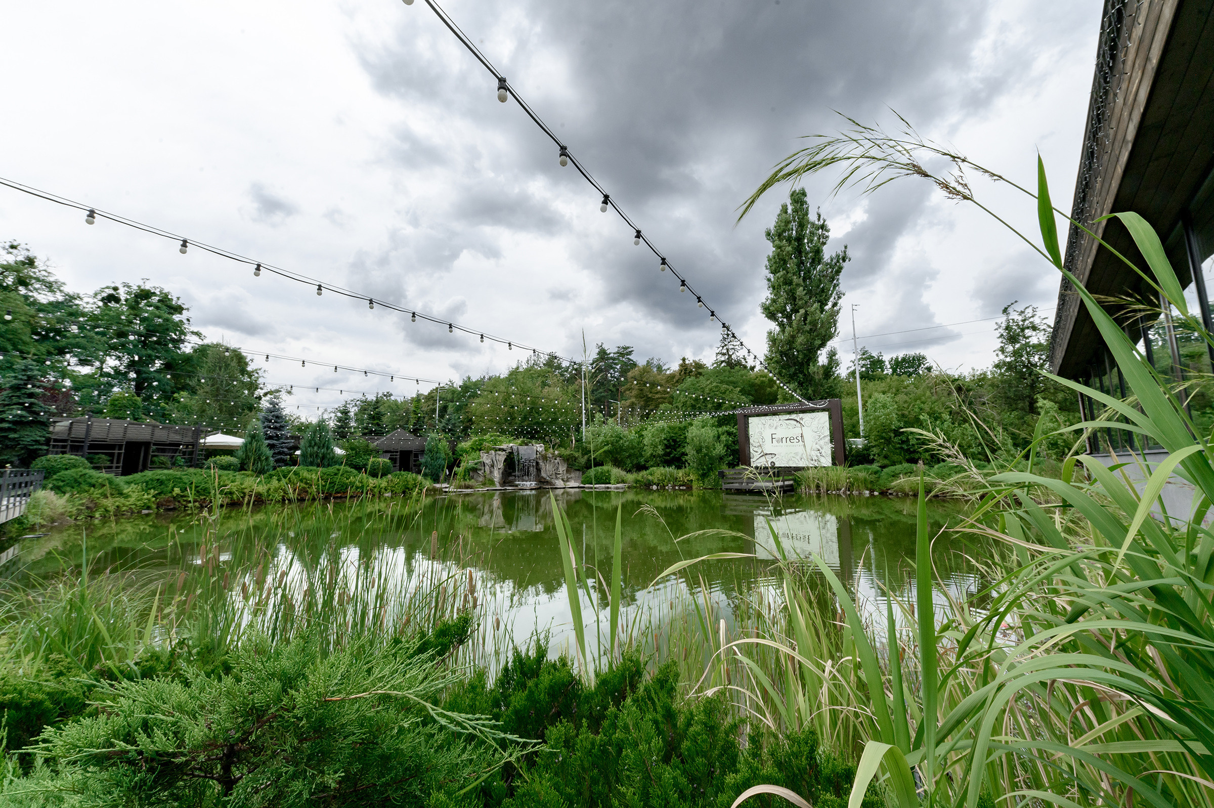 D I A N A «Happy Birthday». Свадебный и семейный фотограф