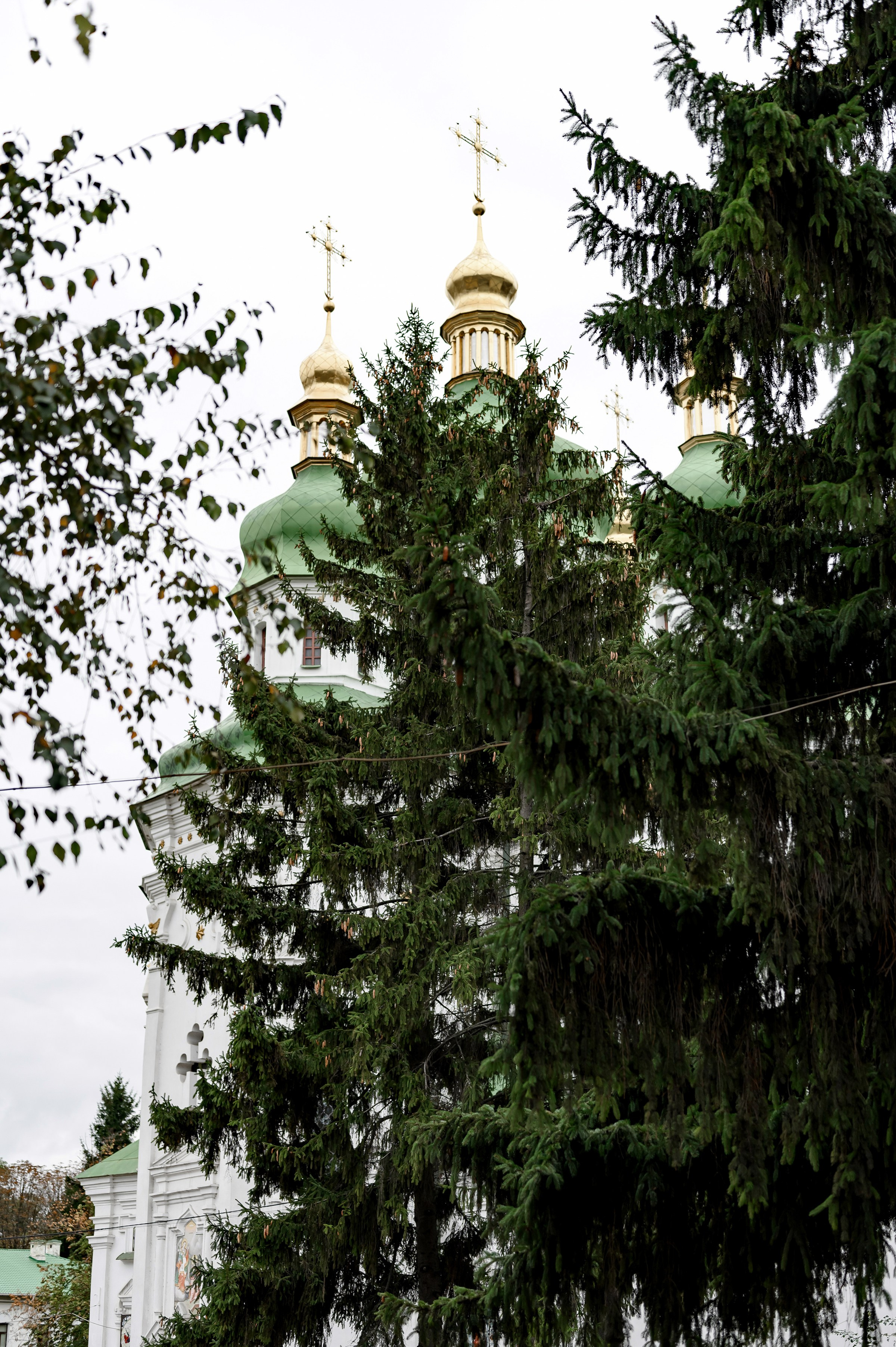 ARTEM & KATYA. Свадебный и семейный фотограф