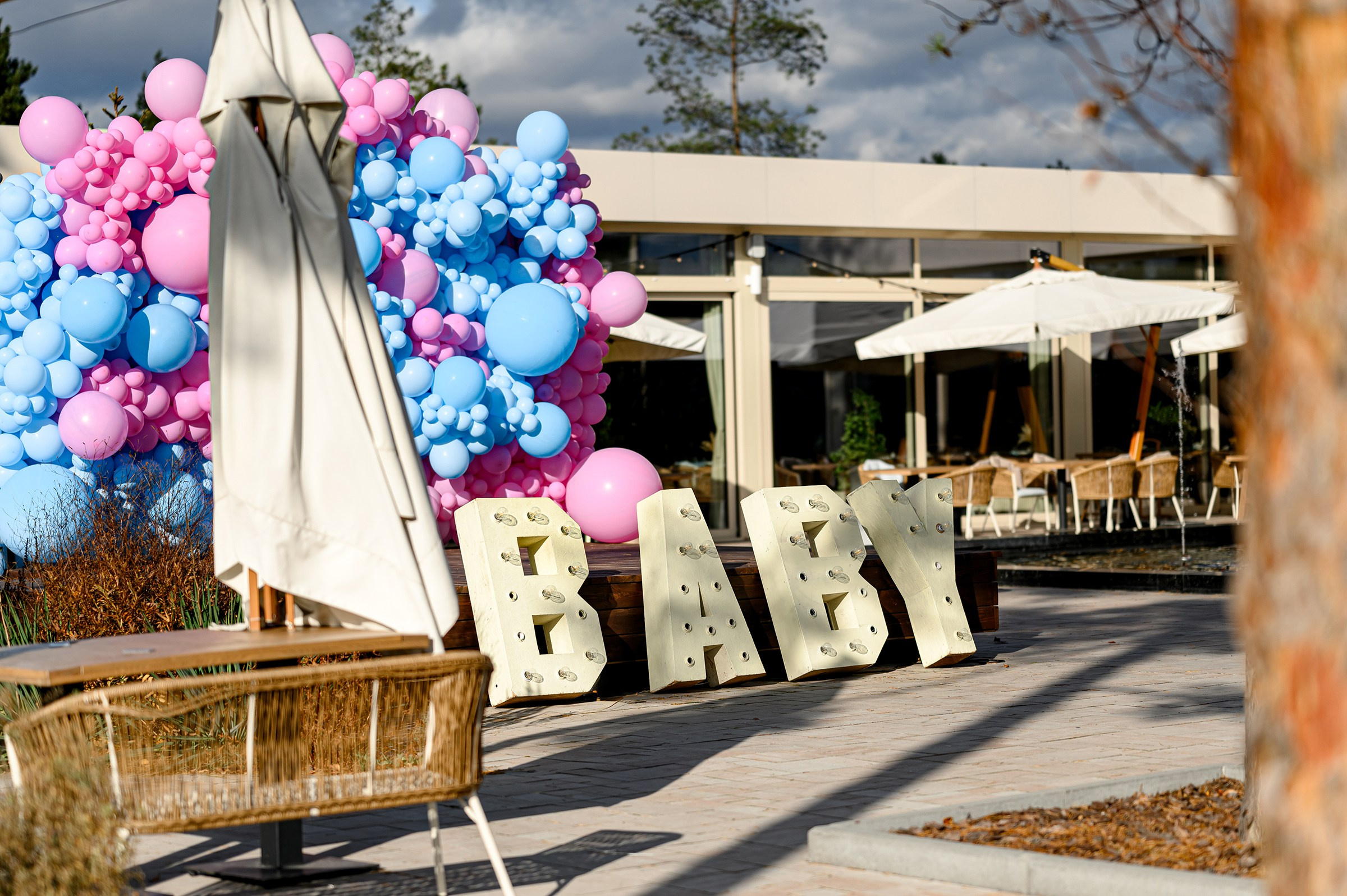 «GENDER PARTY». Свадебный и семейный фотограф