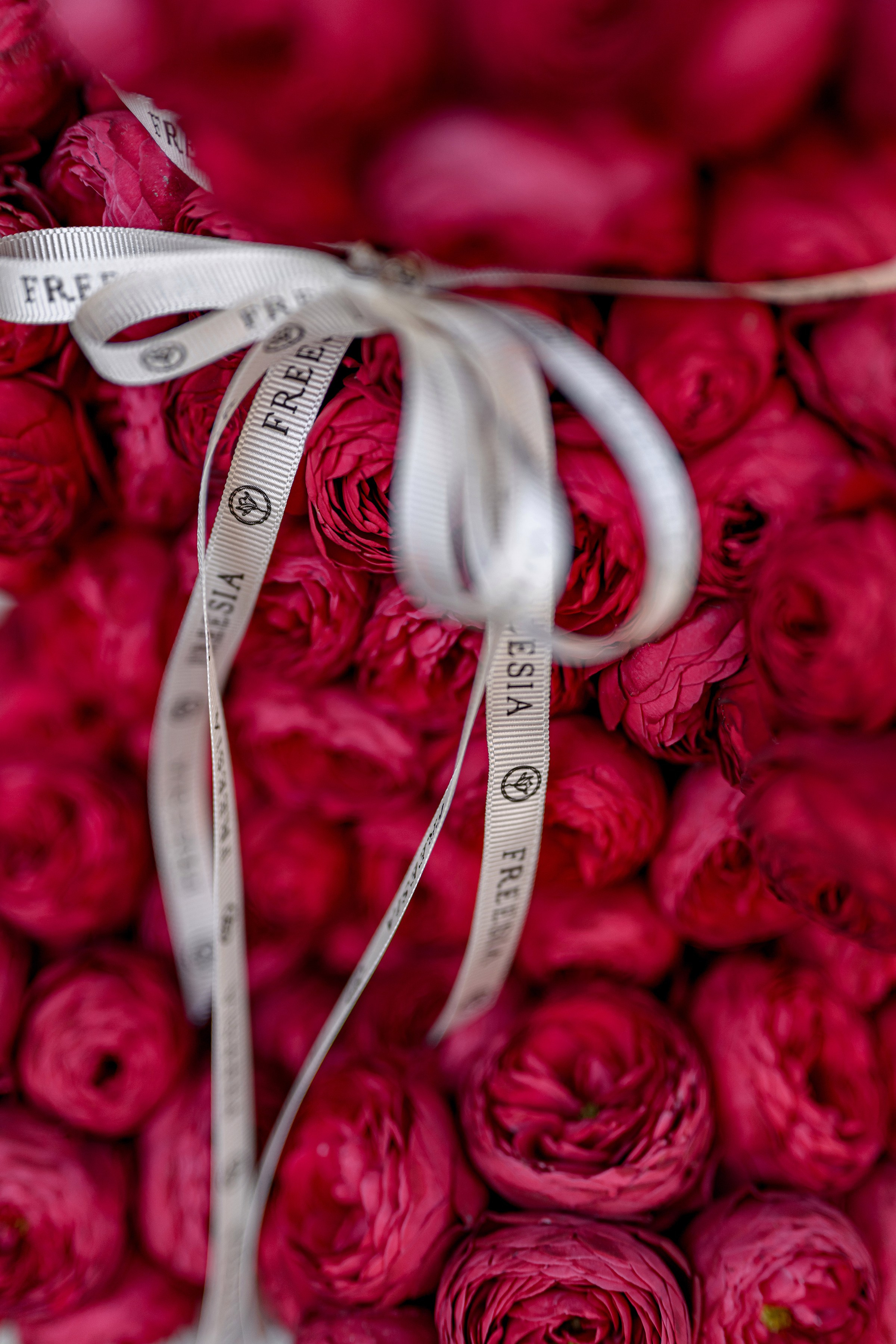 «FREESIA». Свадебный и семейный фотограф