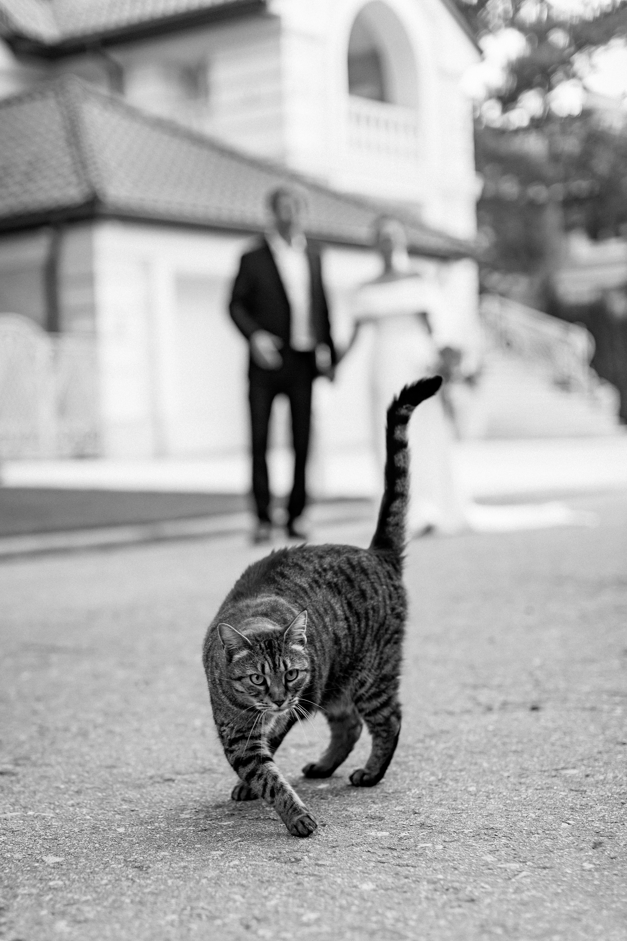 ОЛЕКСІЙ & ДІАНА. Свадебный и семейный фотограф