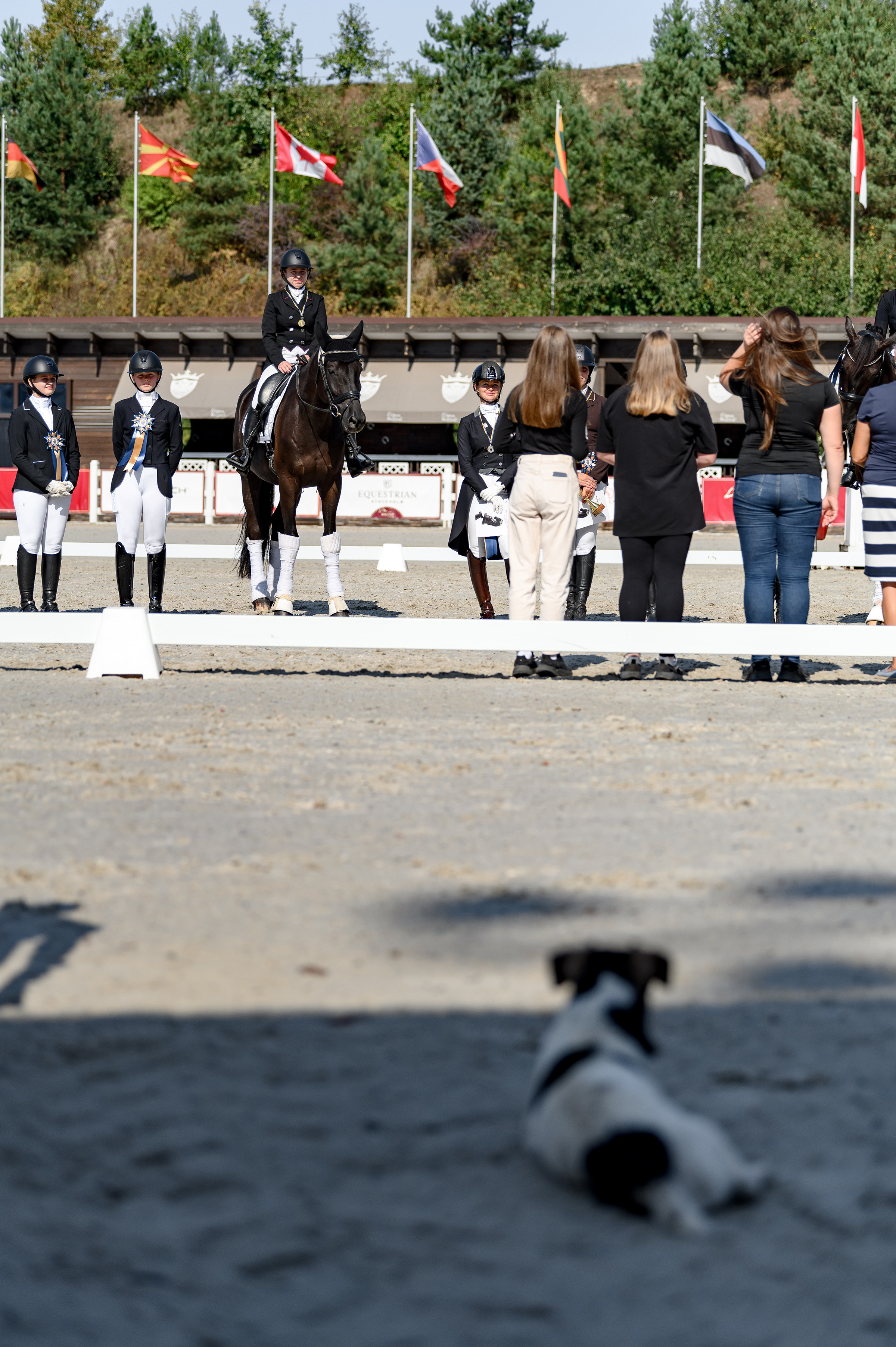 «DRESSAGE EQUIDES CUP 2023». Свадебный и семейный фотограф
