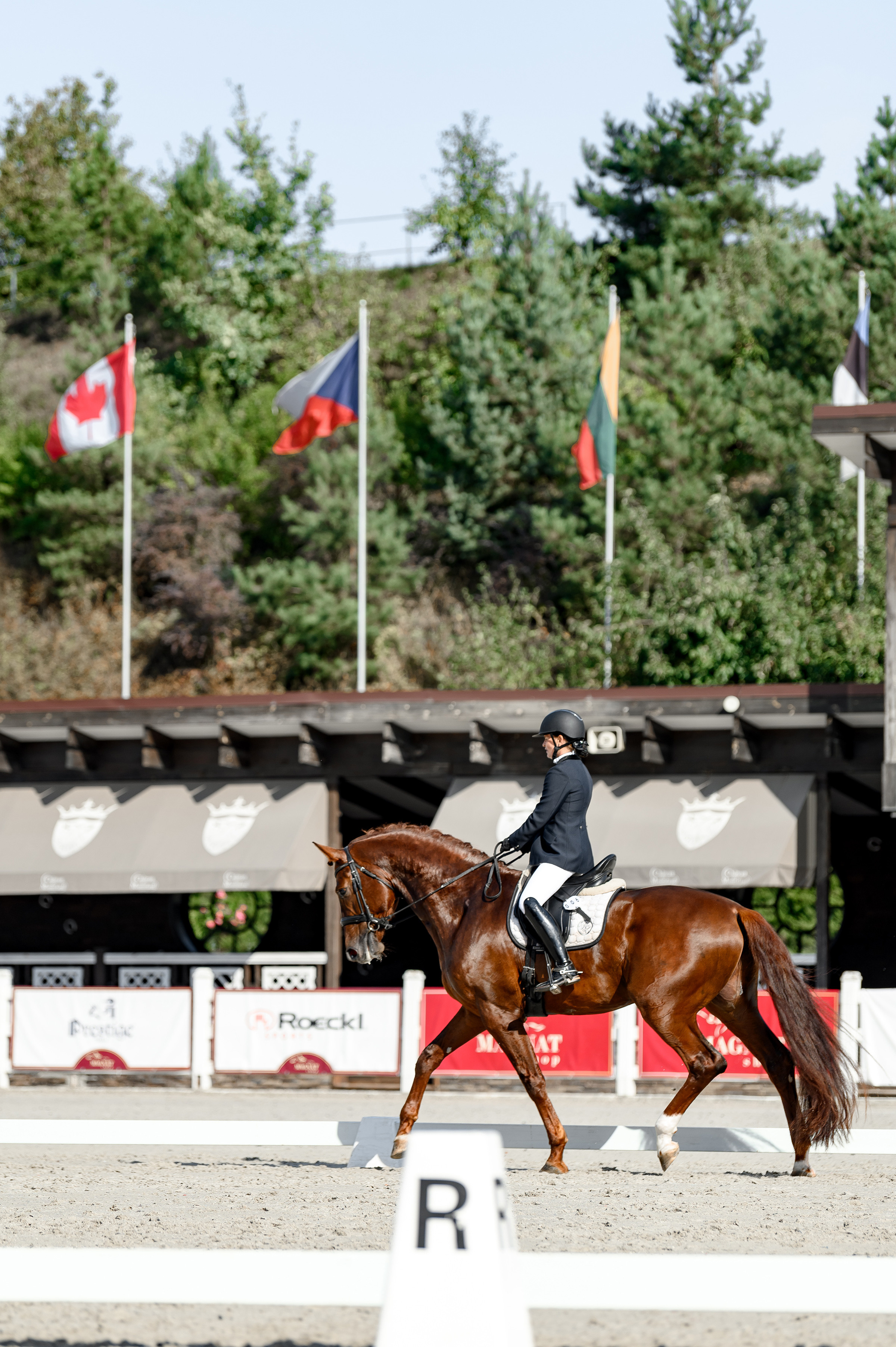 «DRESSAGE EQUIDES CUP 2023». Свадебный и семейный фотограф