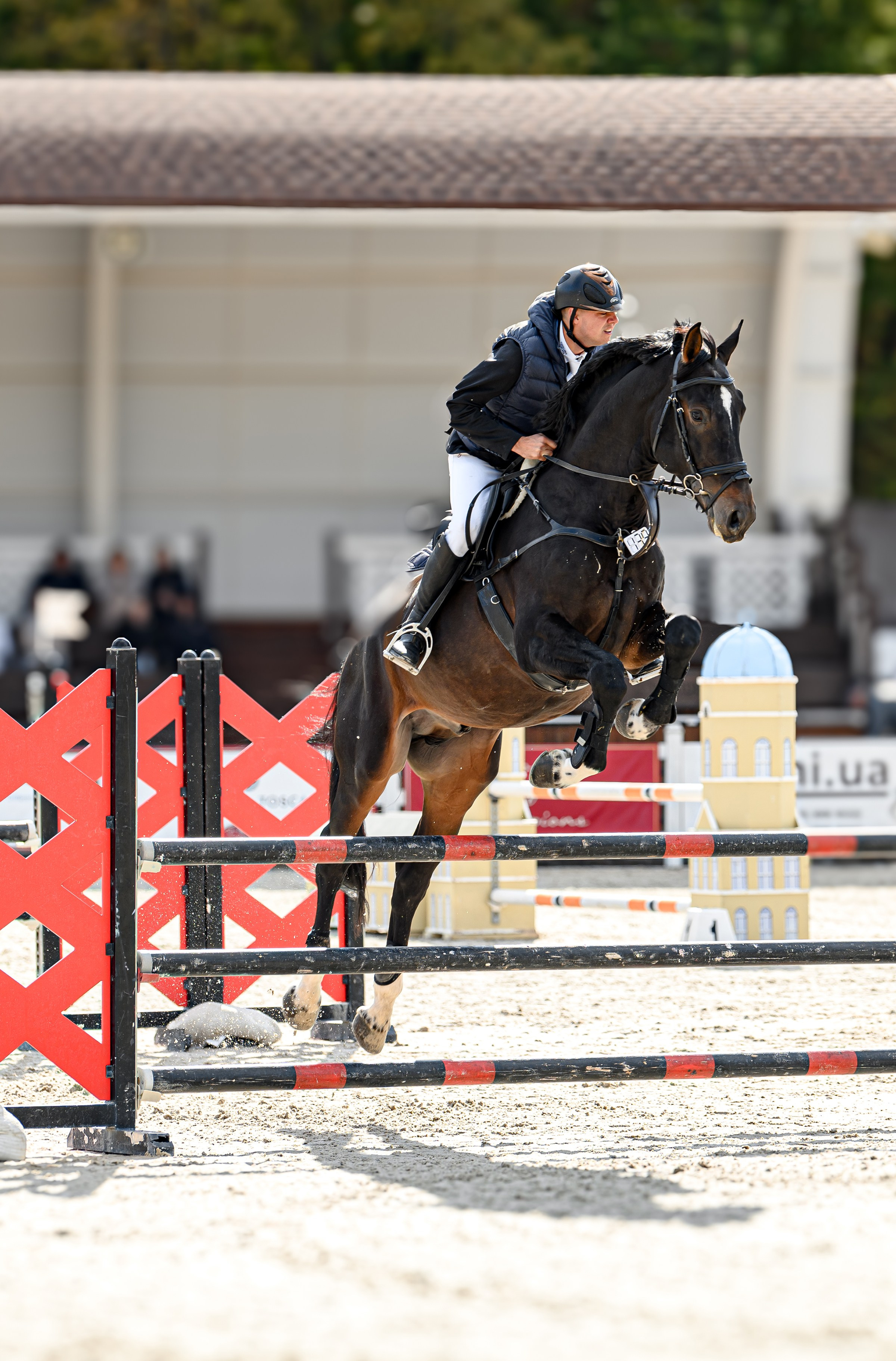 EQUIDES CUP 2023. Свадебный и семейный фотограф