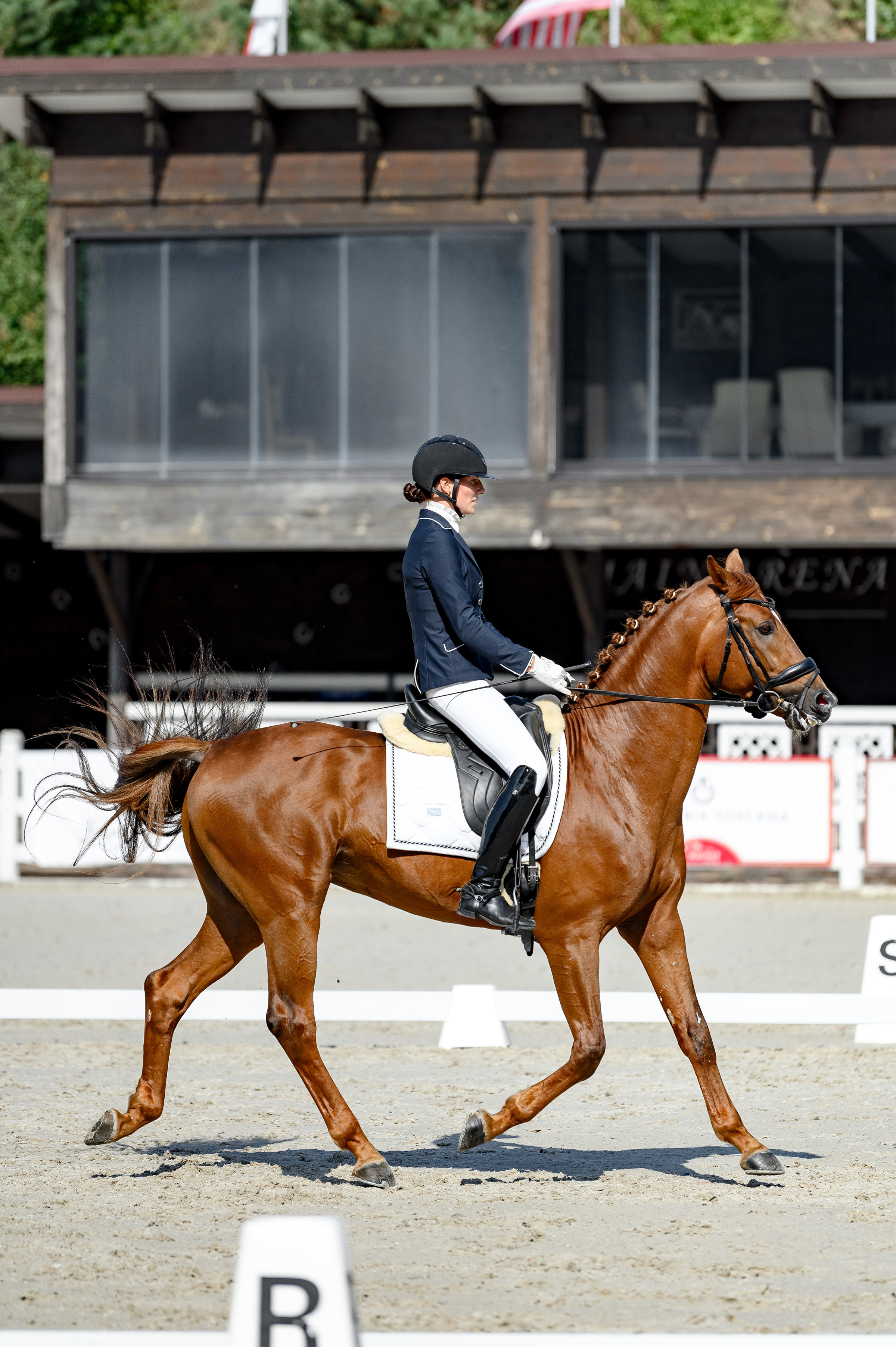 «DRESSAGE EQUIDES CUP 2023». Свадебный и семейный фотограф