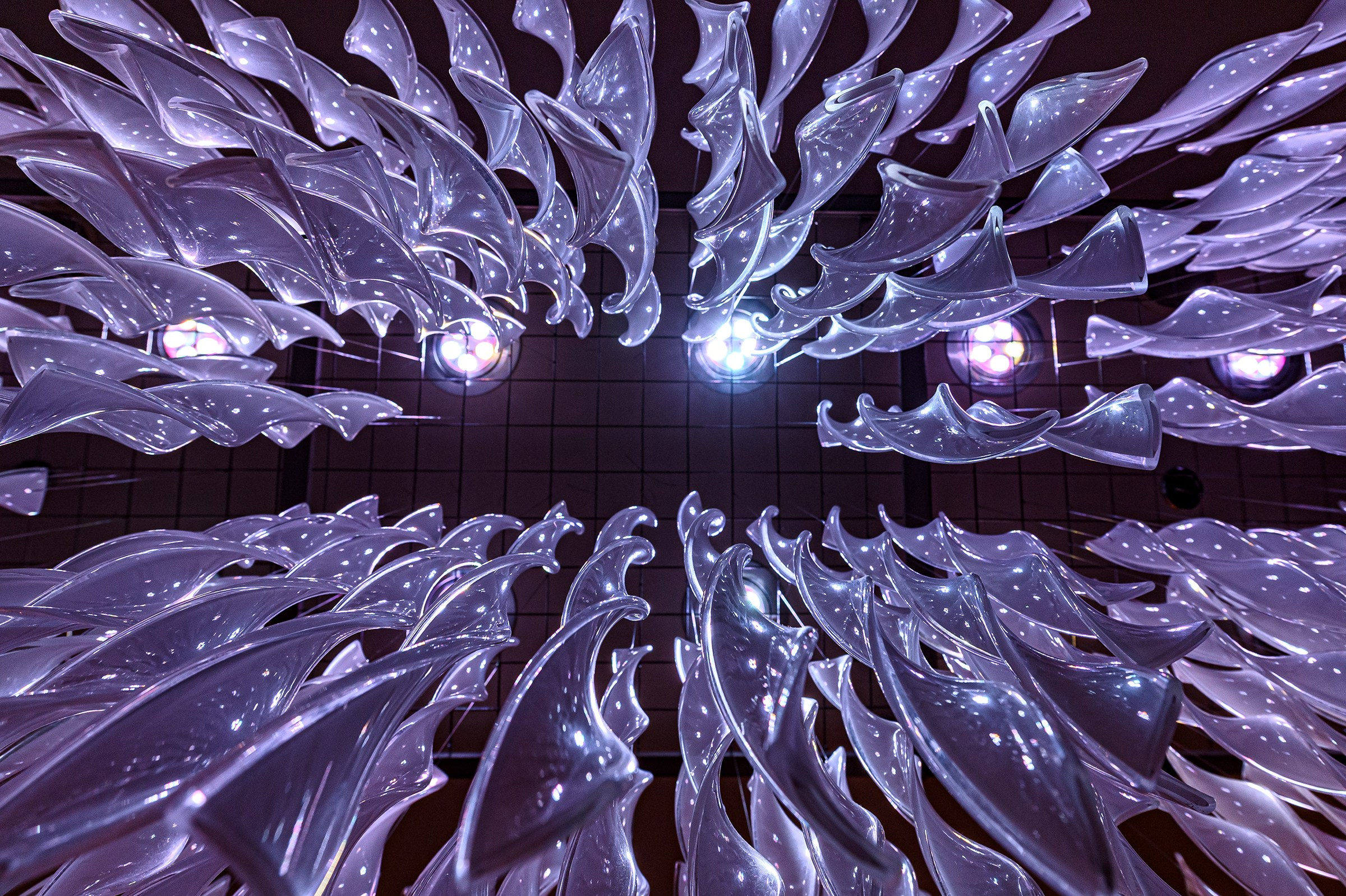 '' HAPPY BIRTHDAY ''. Свадебный и семейный фотограф