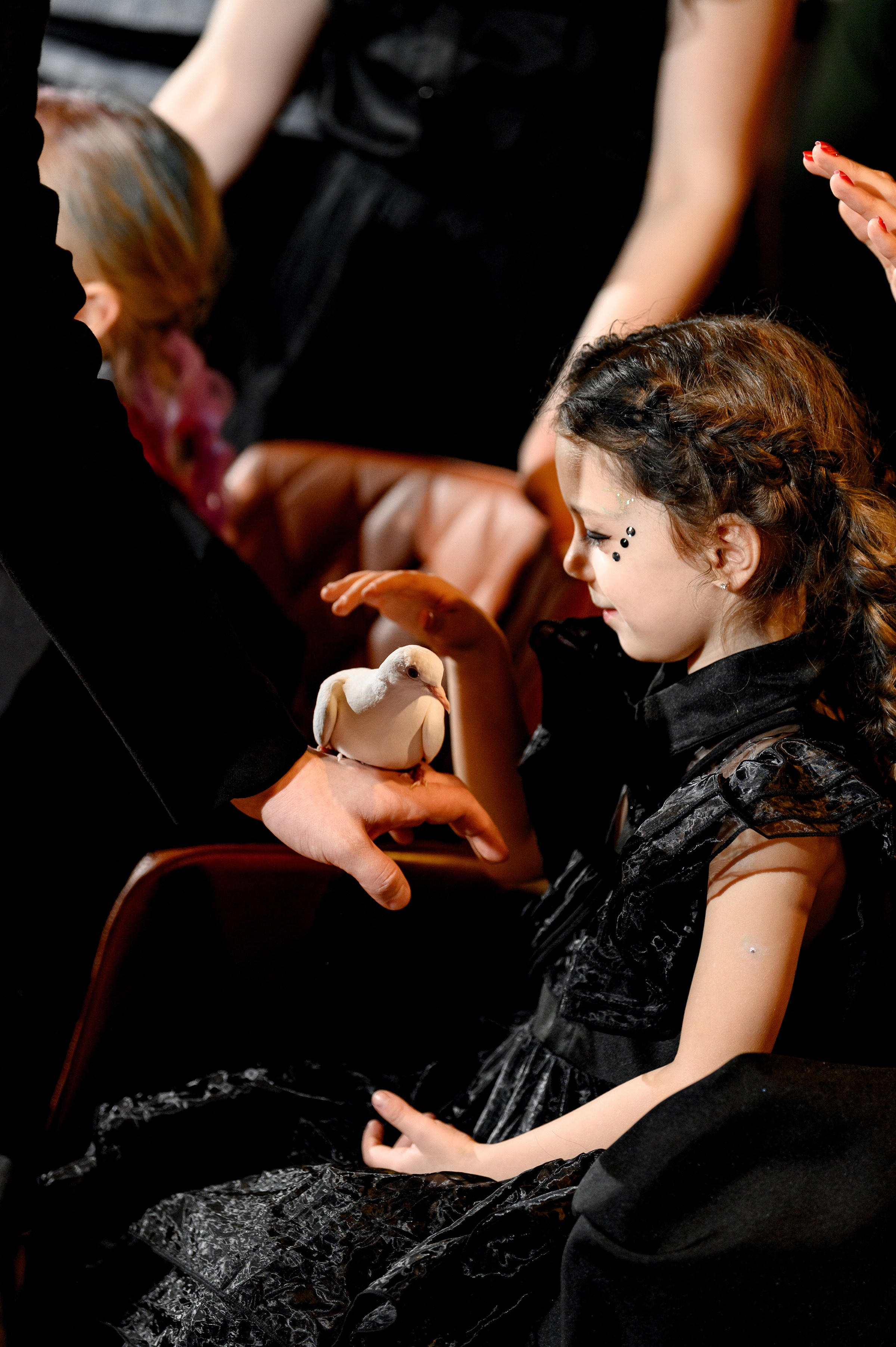 «MILANA 5». Свадебный и семейный фотограф