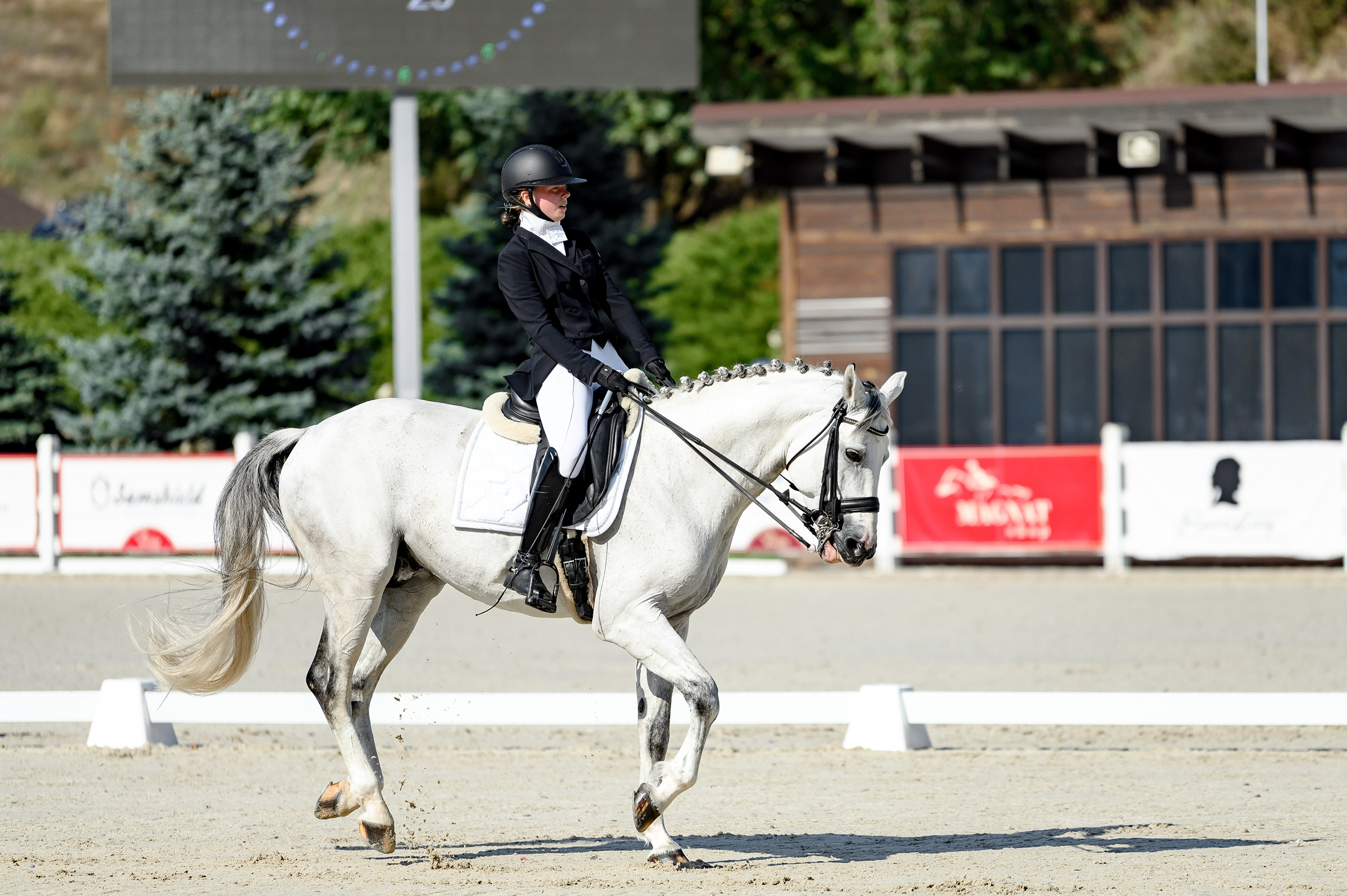 «DRESSAGE EQUIDES CUP 2023». Свадебный и семейный фотограф