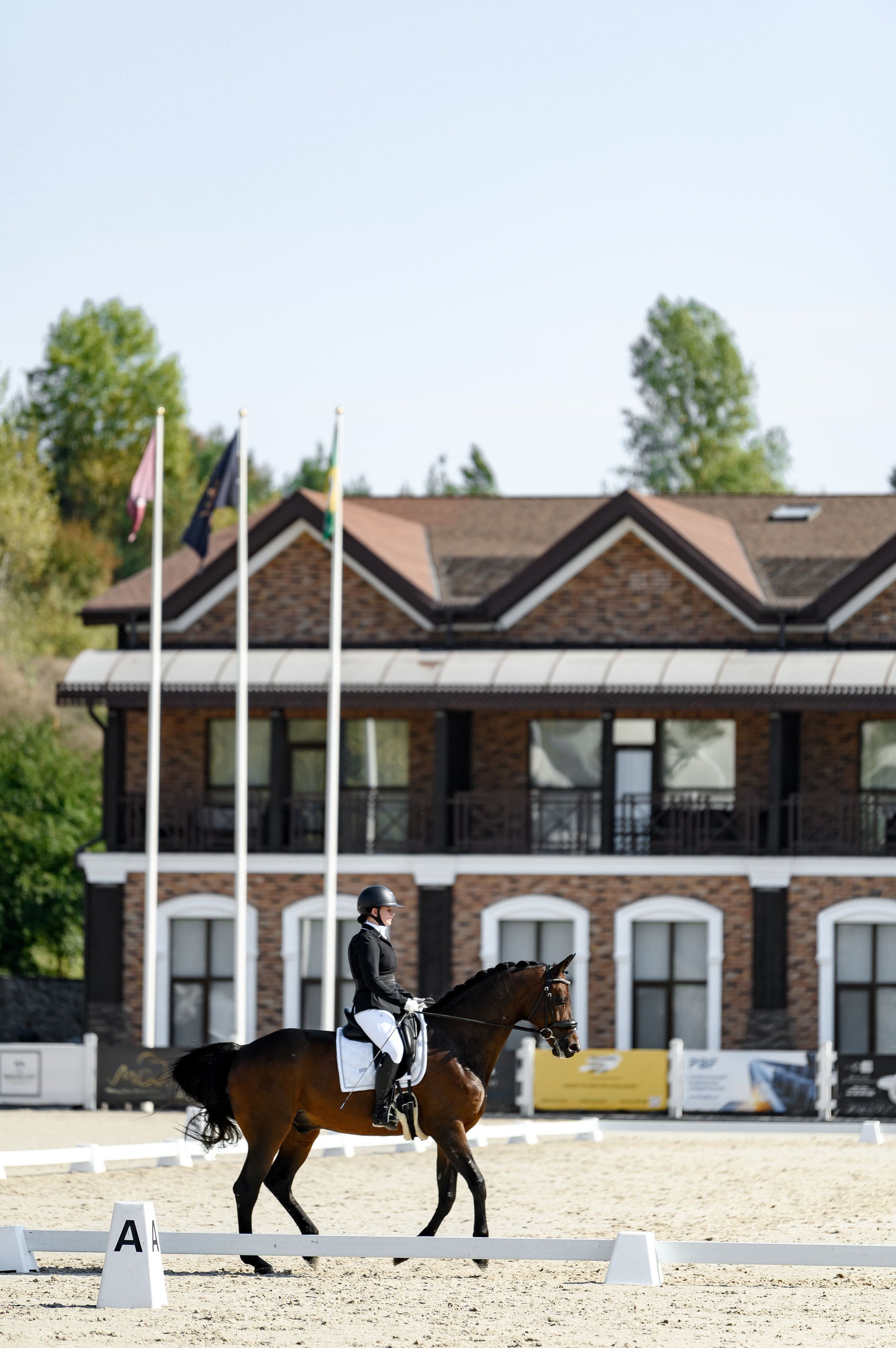 «DRESSAGE EQUIDES CUP 2023». Свадебный и семейный фотограф