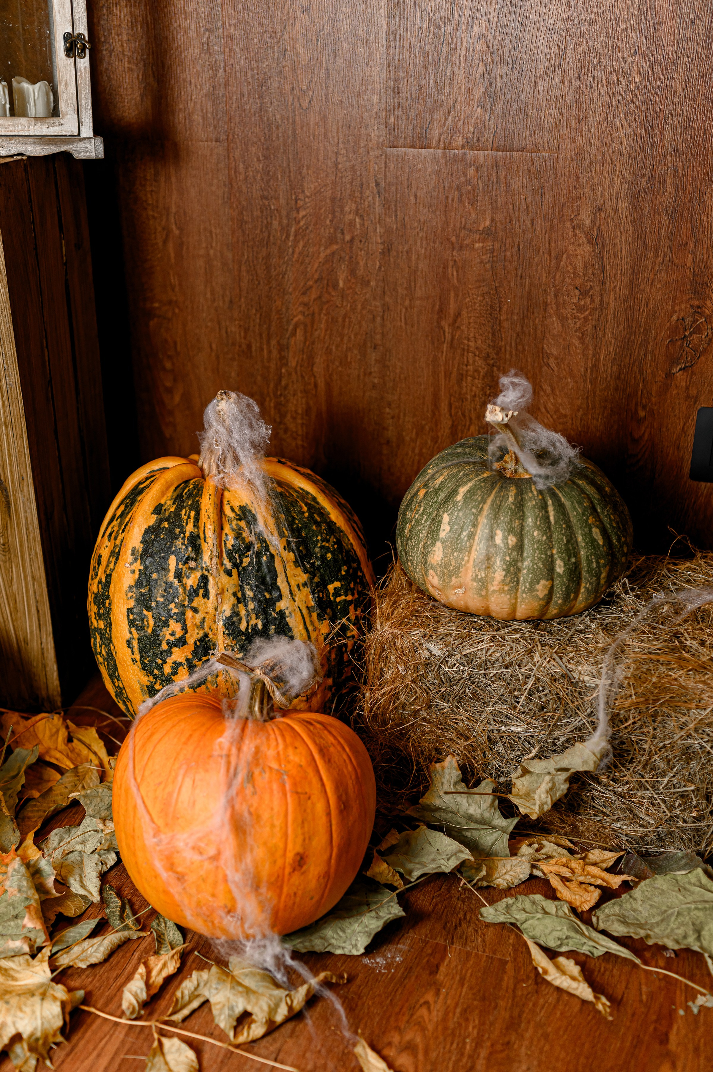 «HALLOWEEN «Coca-Cola». Свадебный и семейный фотограф