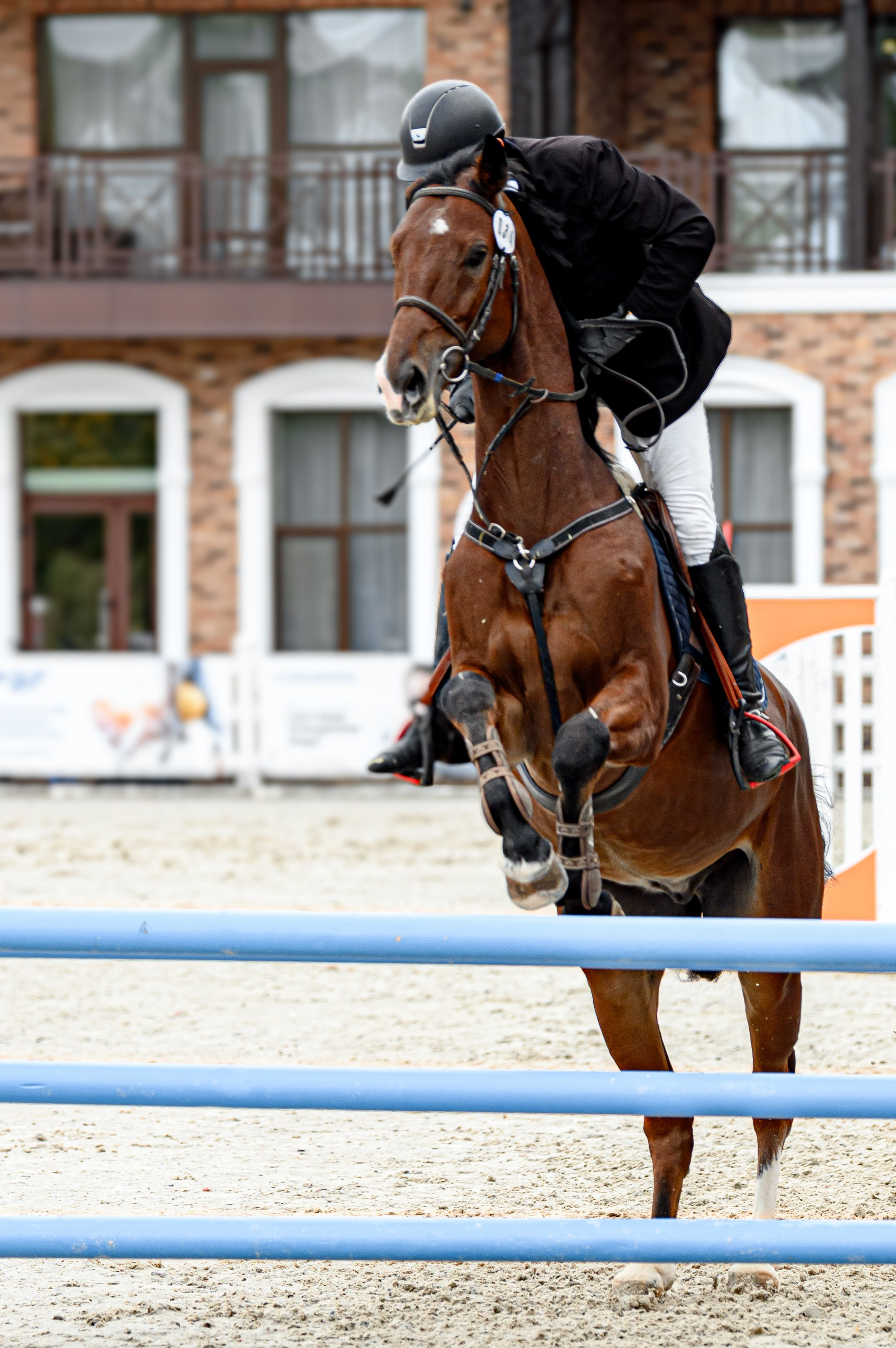 EQUIDES CUP 2023. Свадебный и семейный фотограф
