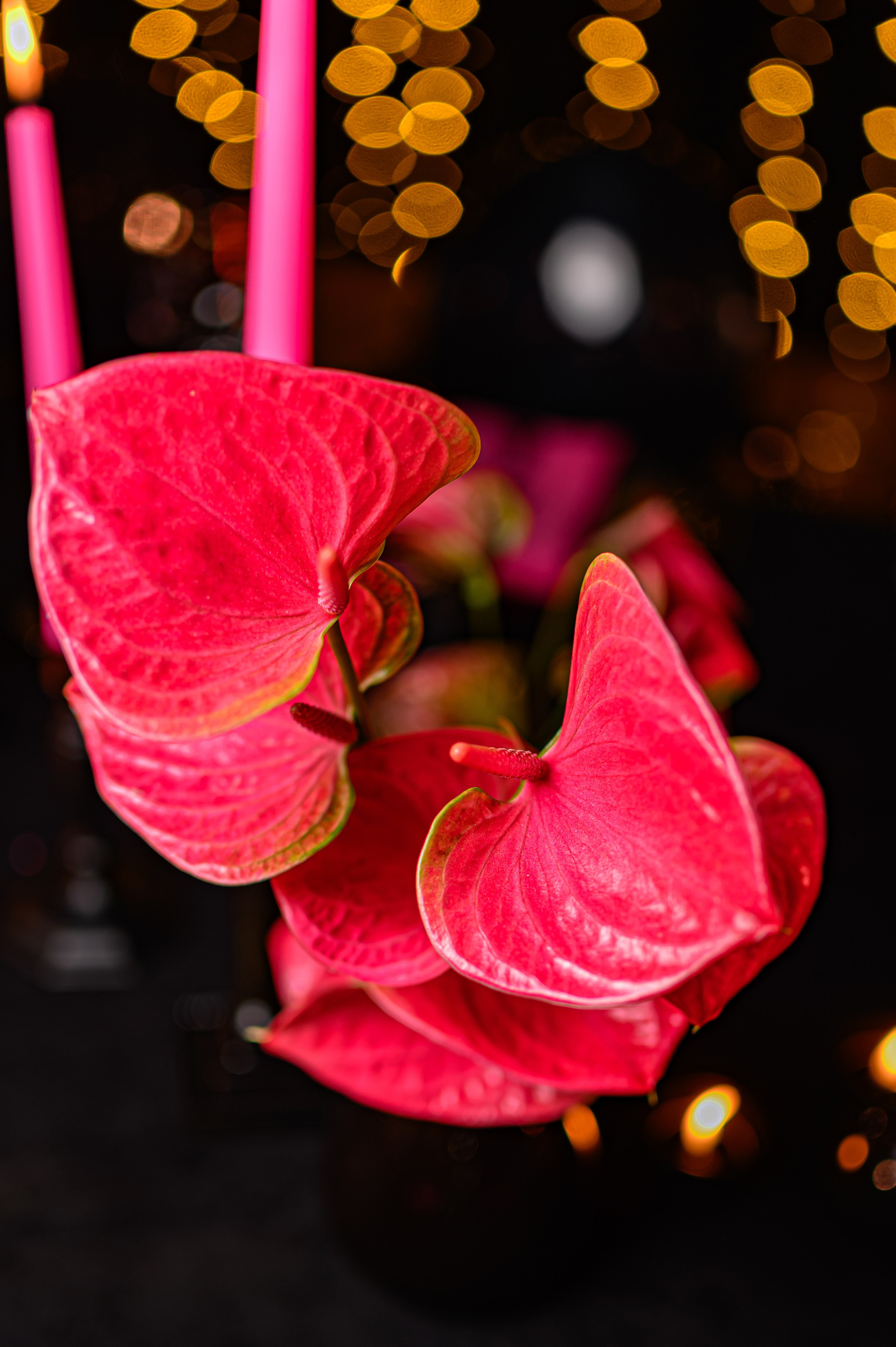 '' ANASTASIA'S birthday party ''. Свадебный и семейный фотограф