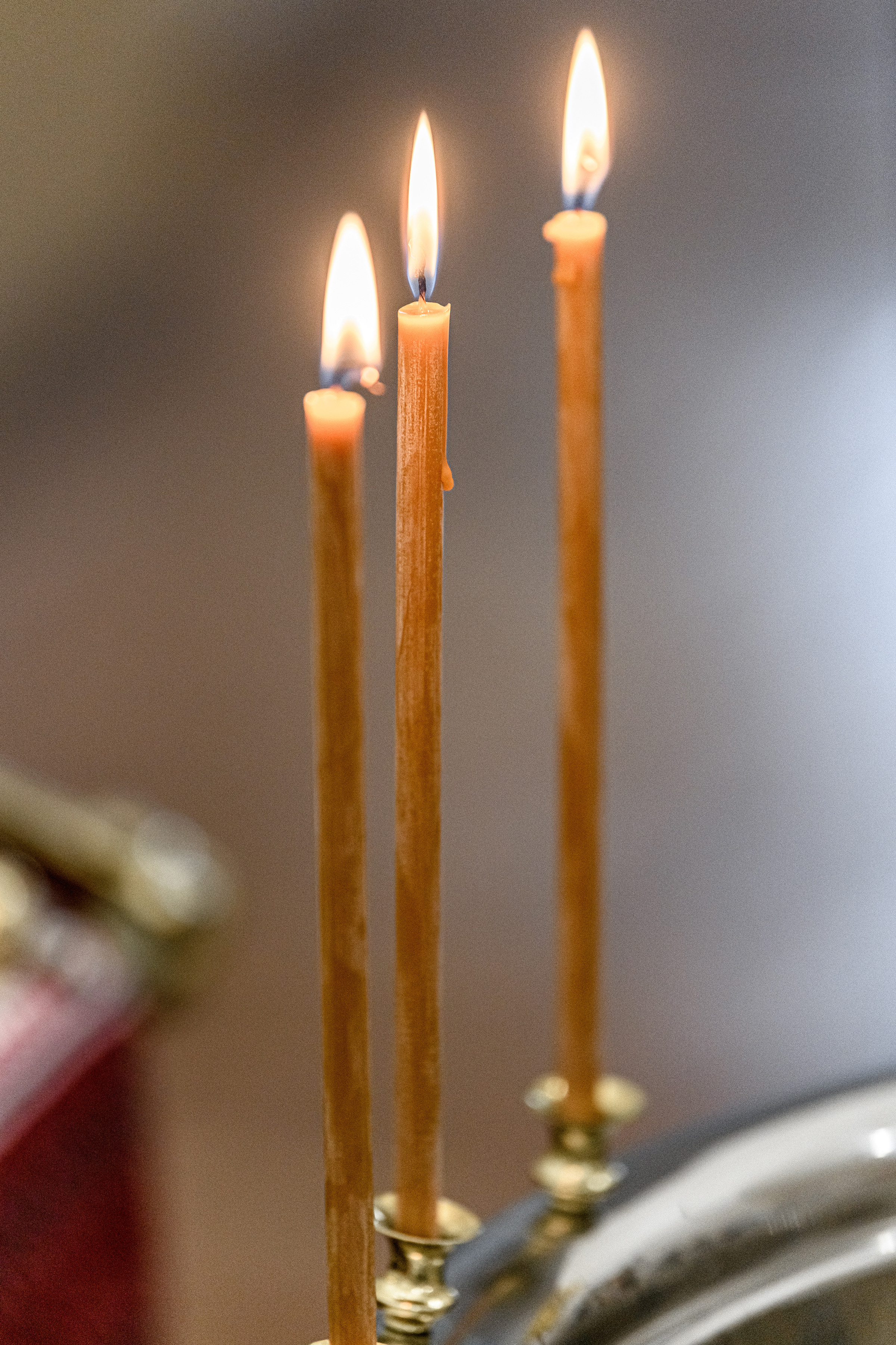 Софійський собор. Свадебный и семейный фотограф