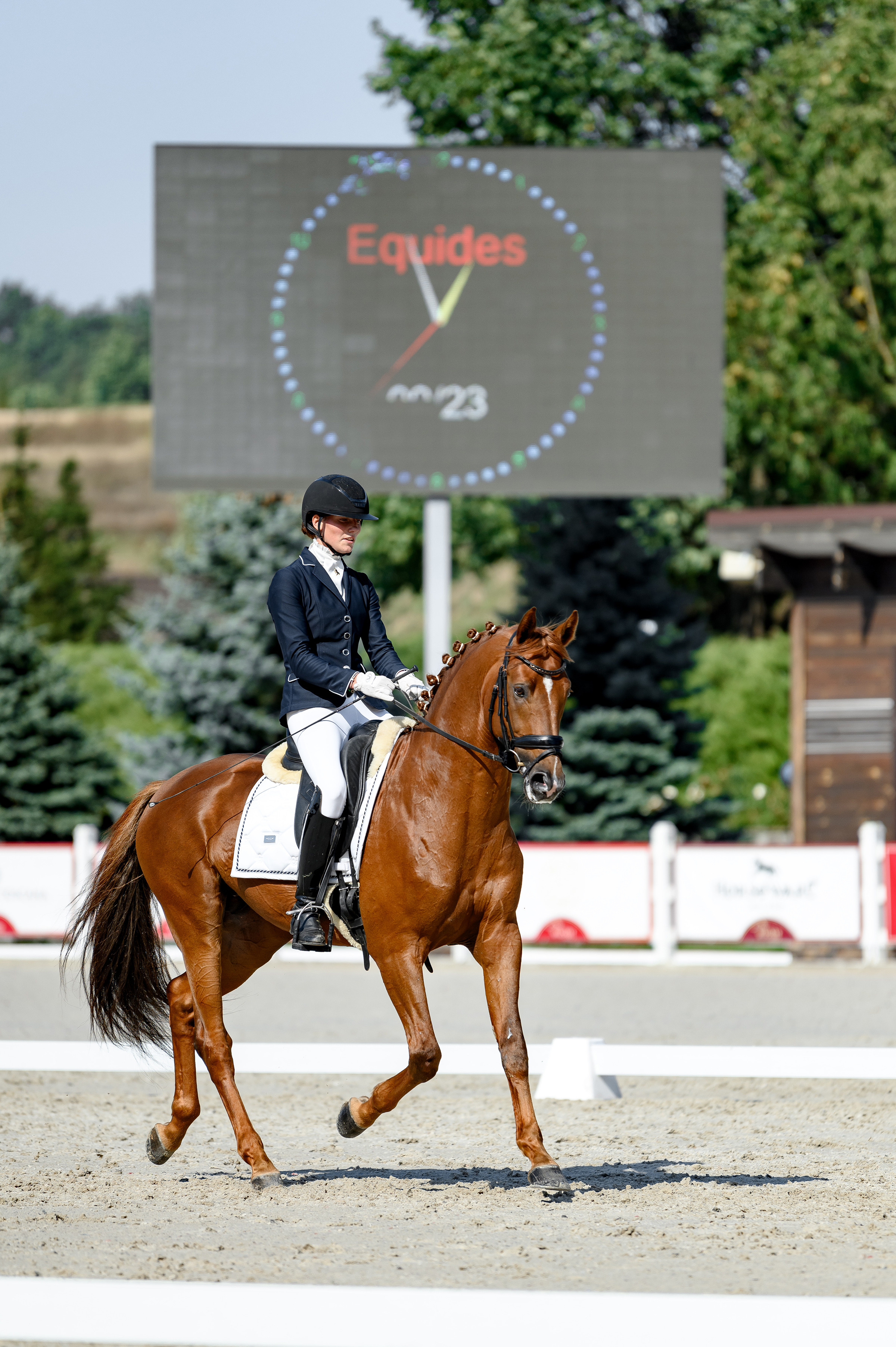 «DRESSAGE EQUIDES CUP 2023». Свадебный и семейный фотограф
