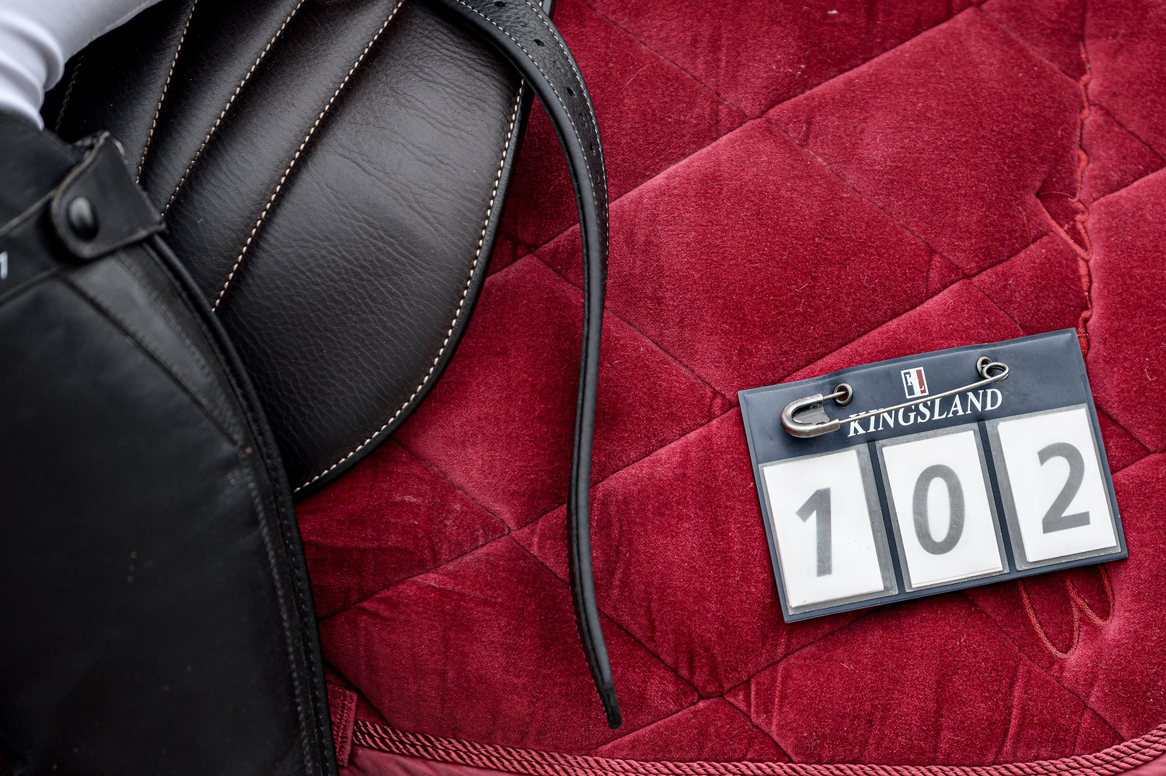 EQUIDES CUP 2023. Свадебный и семейный фотограф