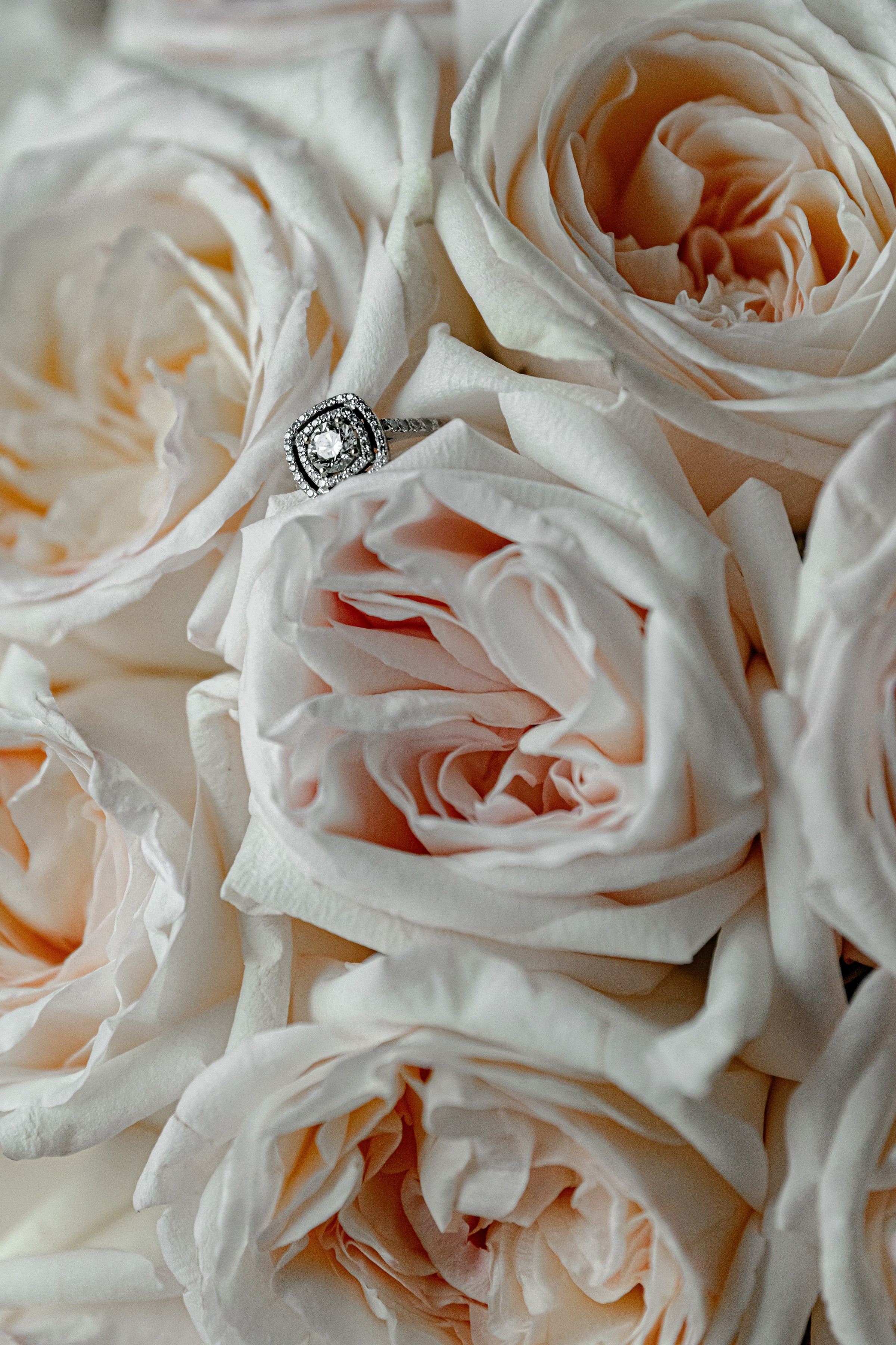 Yaroslav & Anna. Свадебный и семейный фотограф