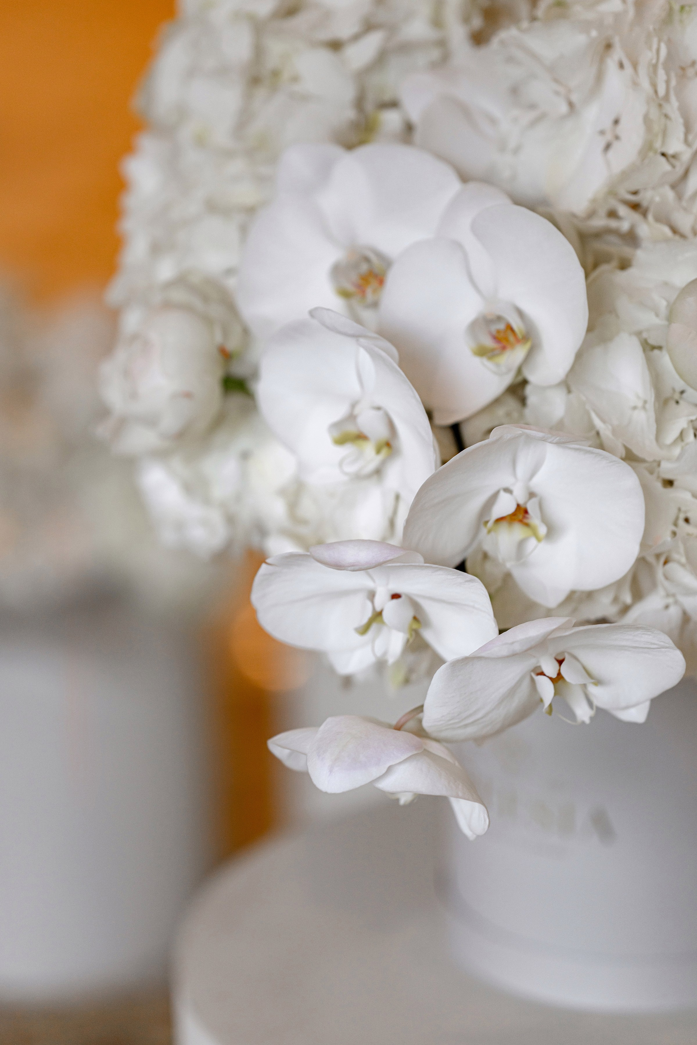 «FREESIA». Свадебный и семейный фотограф