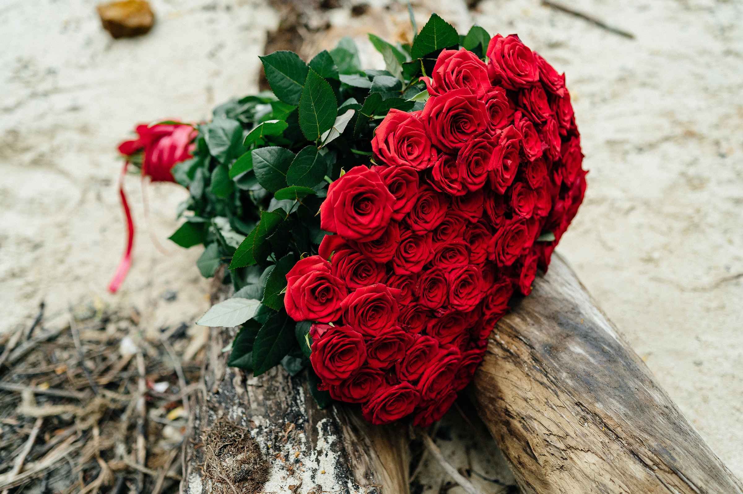 Пропозиція руки і серця. Свадебный и семейный фотограф