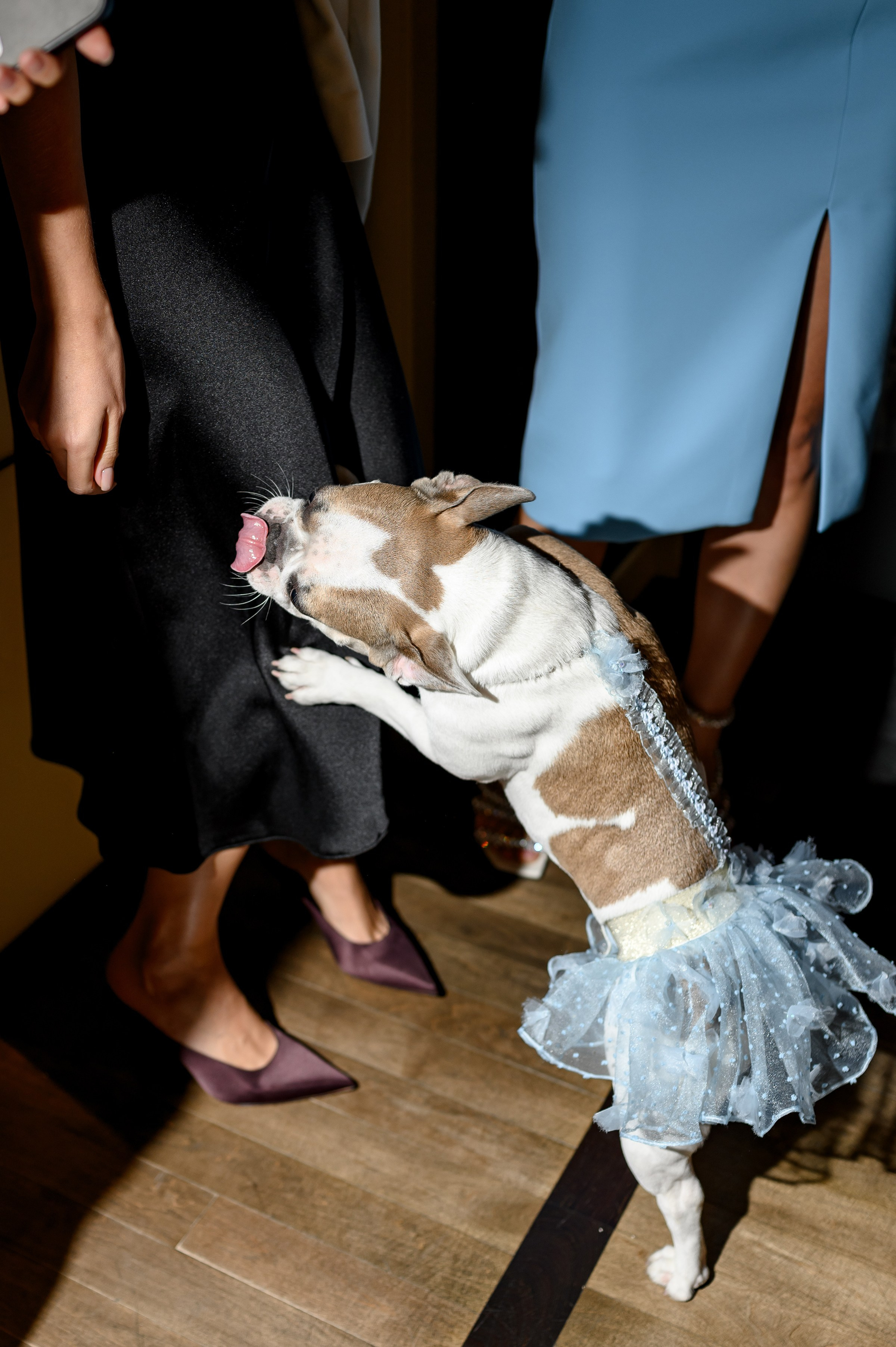 '' HAPPY BIRTHDAY ''. Свадебный и семейный фотограф