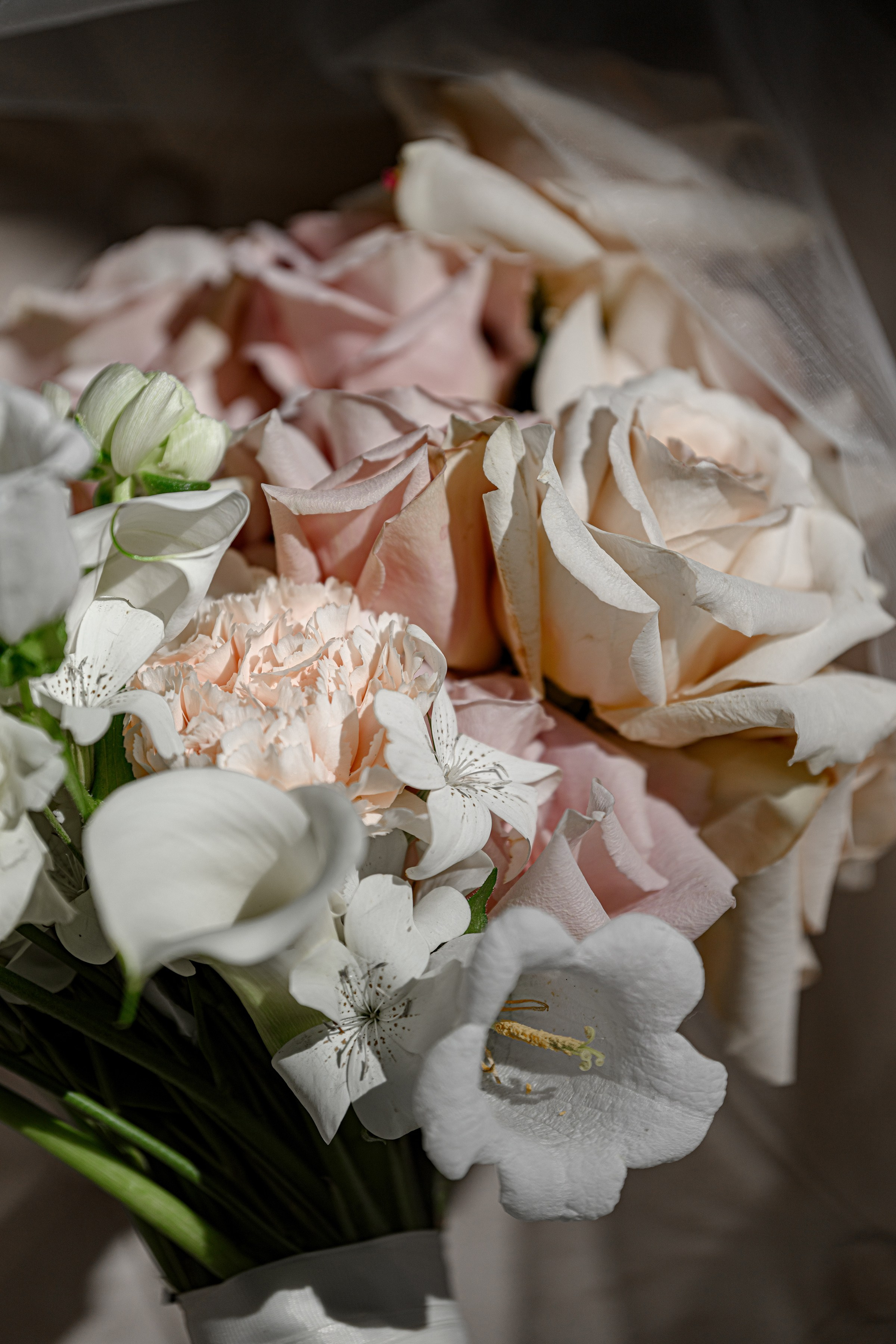 LIZA & RUSLAN. Свадебный и семейный фотограф