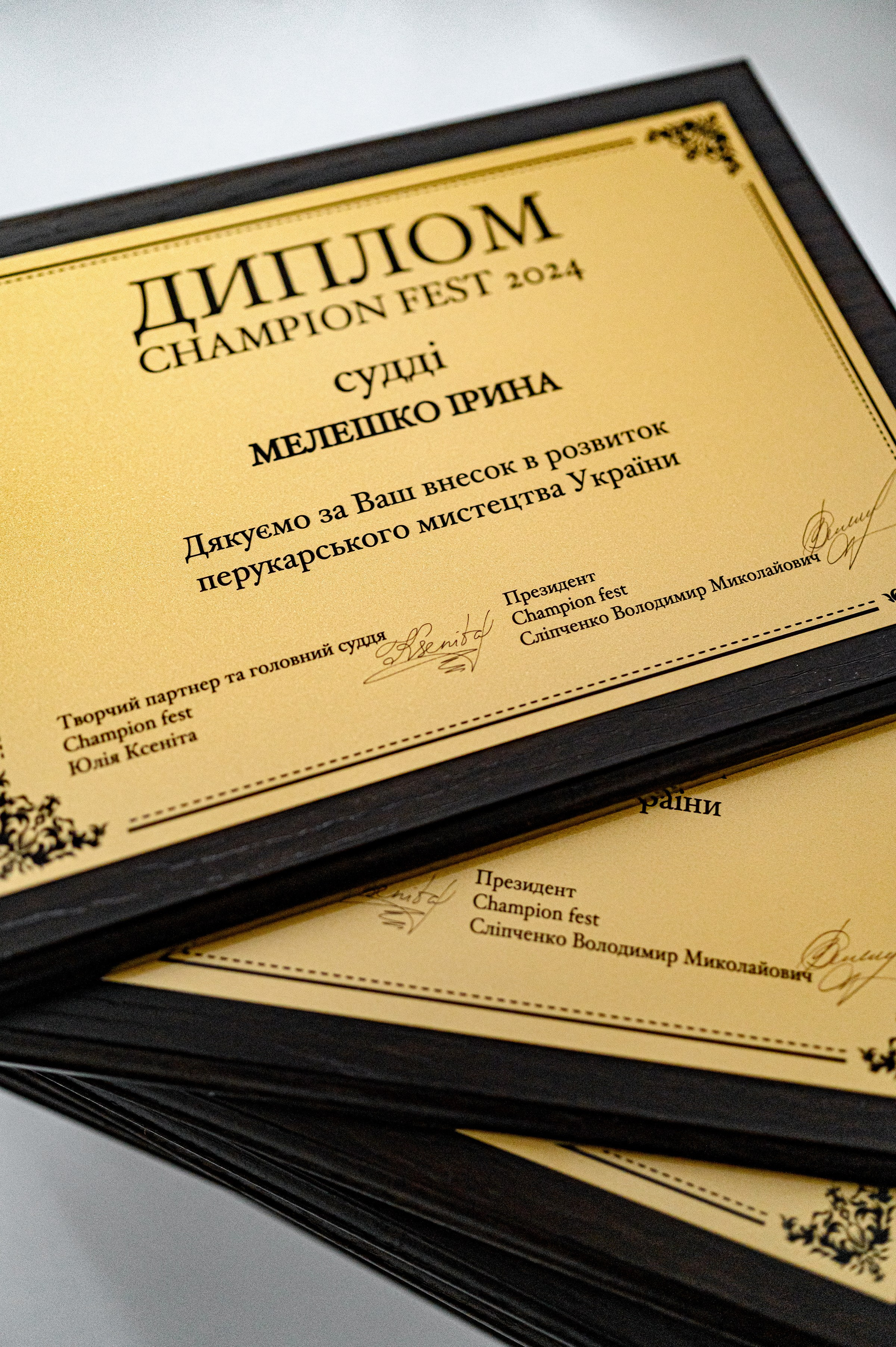 " CHAMPION FEST 2024 ". Свадебный и семейный фотограф