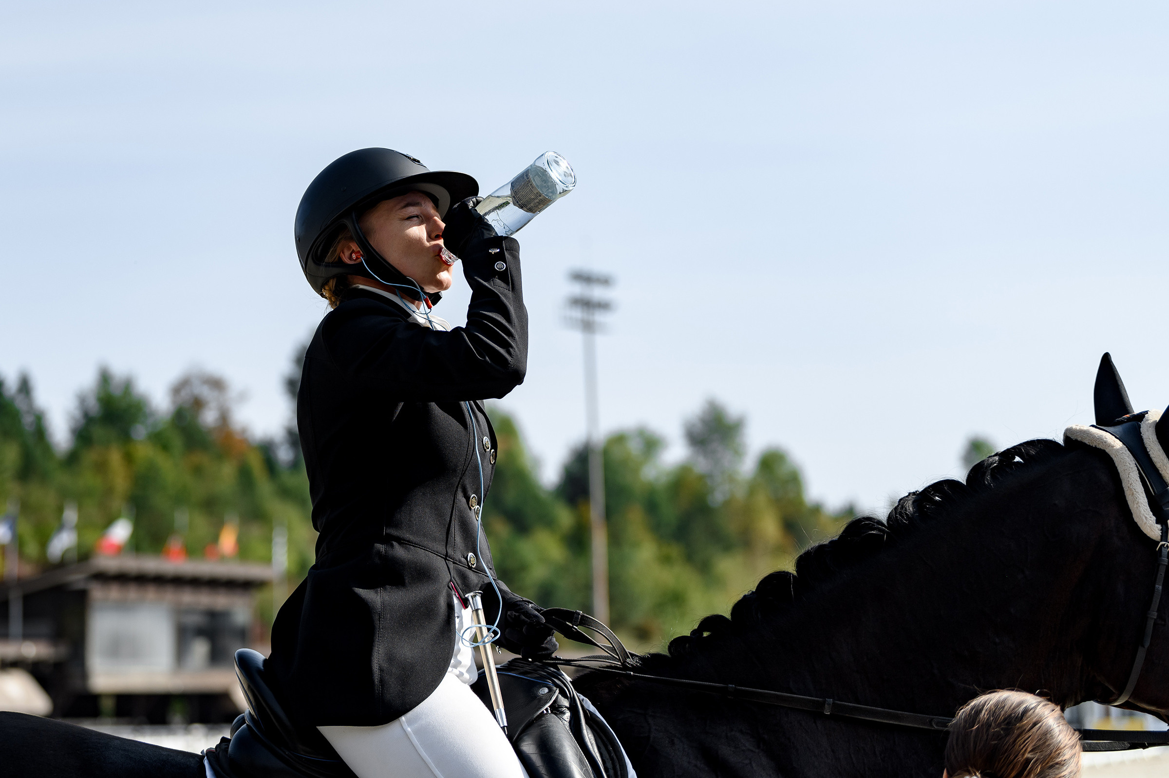 «DRESSAGE EQUIDES CUP 2023». Свадебный и семейный фотограф