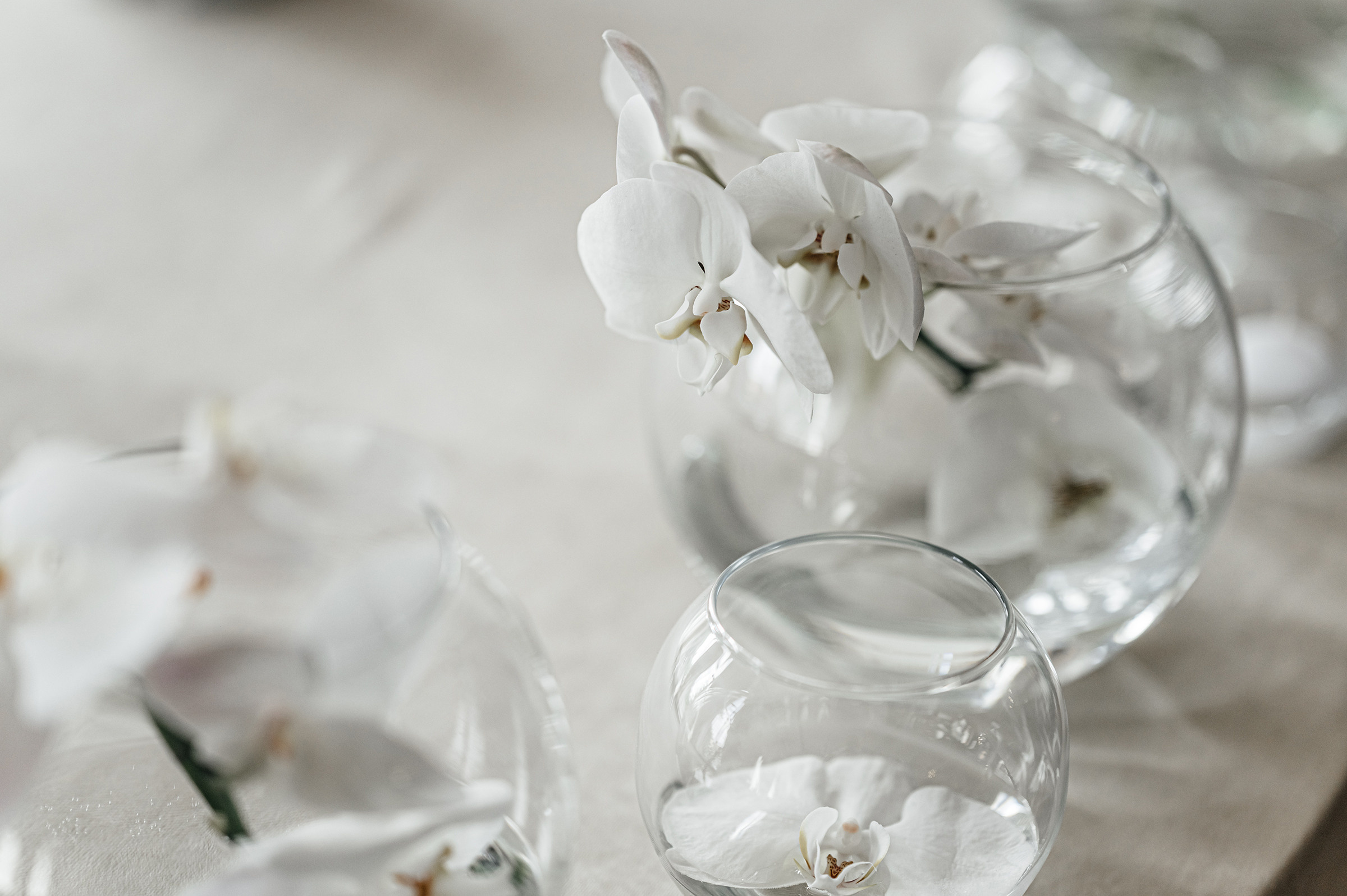 Артур & Єлизавета. Свадебный и семейный фотограф