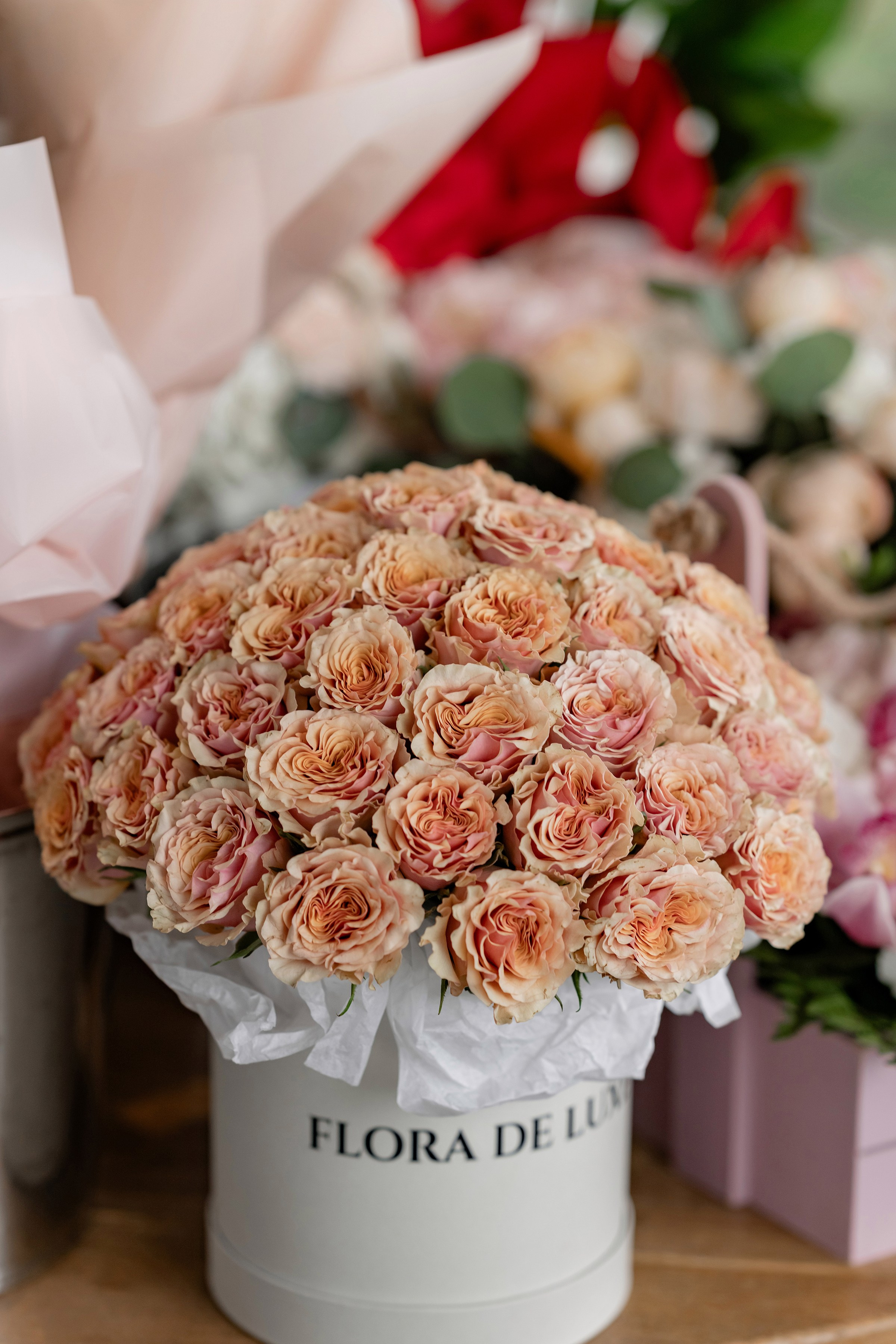 SAID & ILONA. Свадебный и семейный фотограф