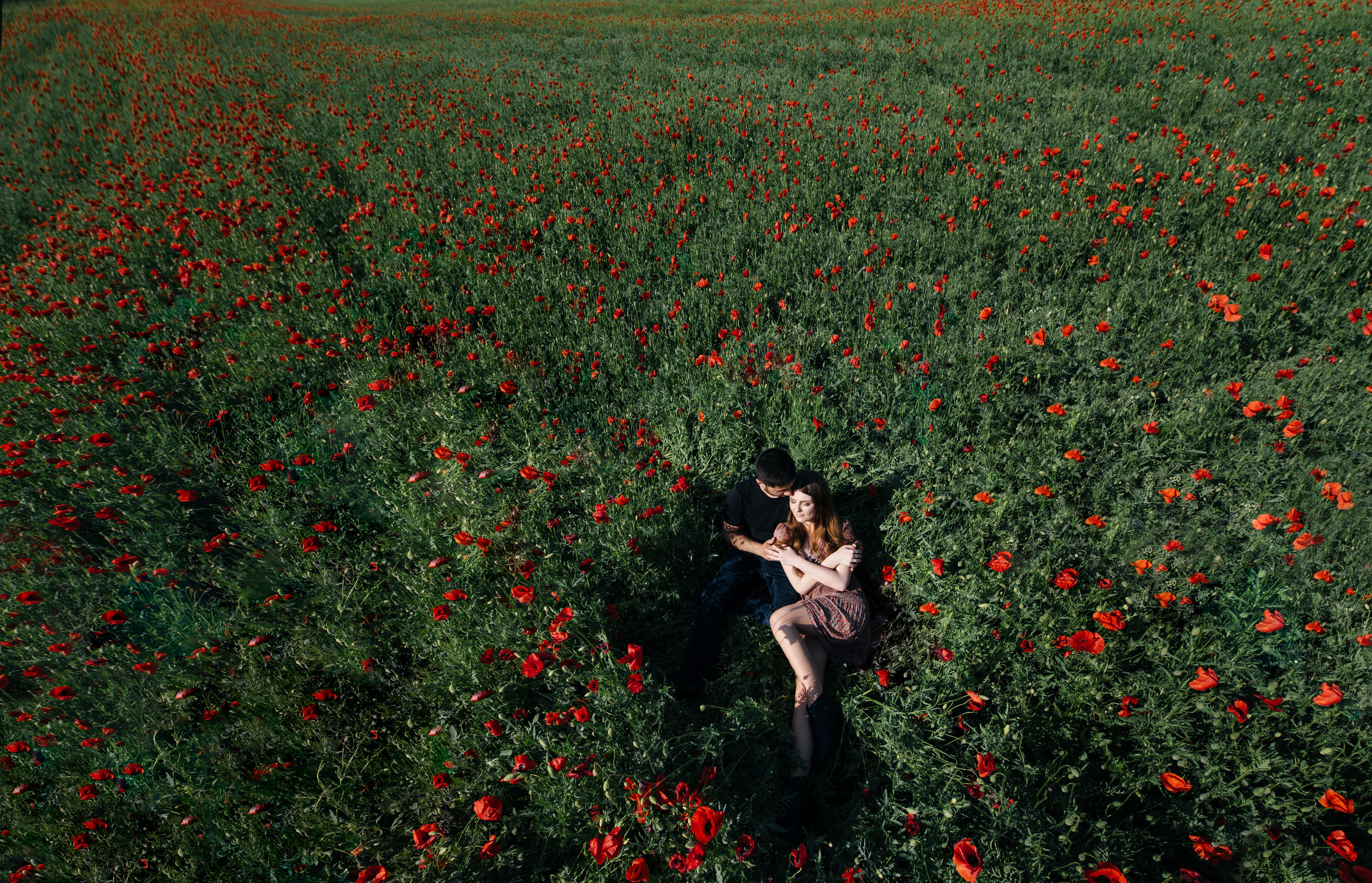 Денис & Анастасія. Свадебный и семейный фотограф