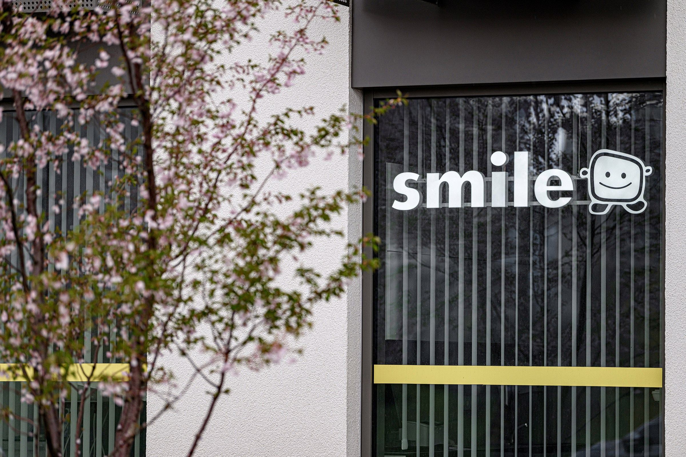 " SMILE ". Свадебный и семейный фотограф