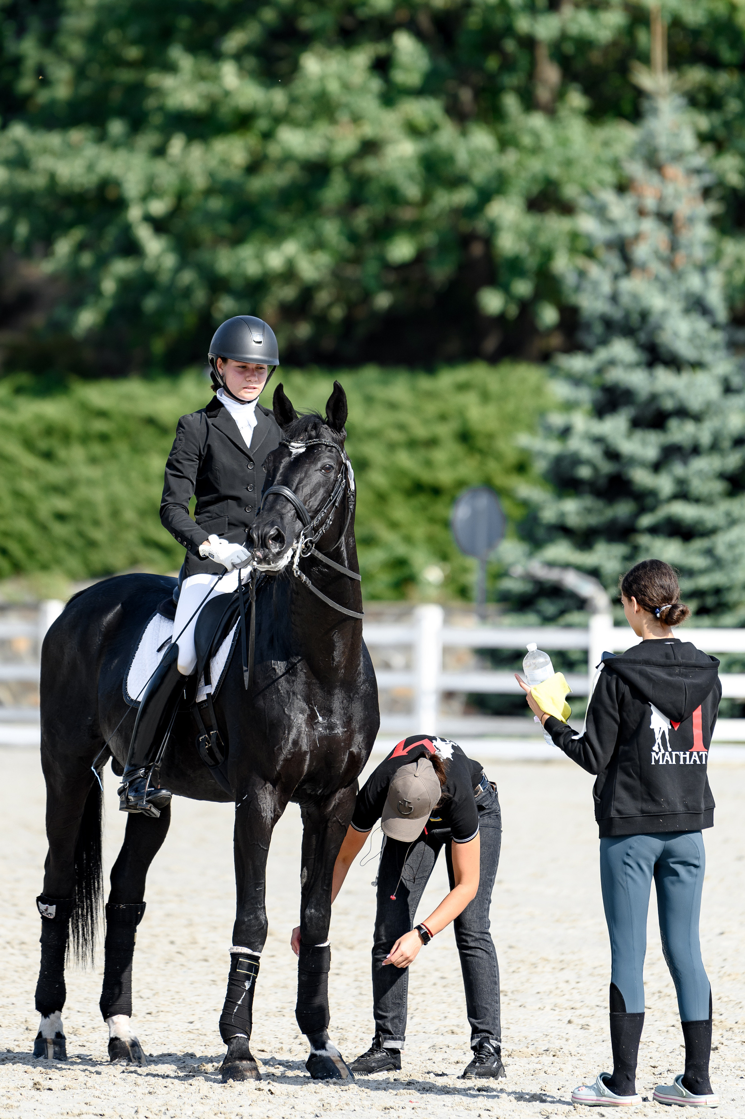 «DRESSAGE EQUIDES CUP 2023». Свадебный и семейный фотограф
