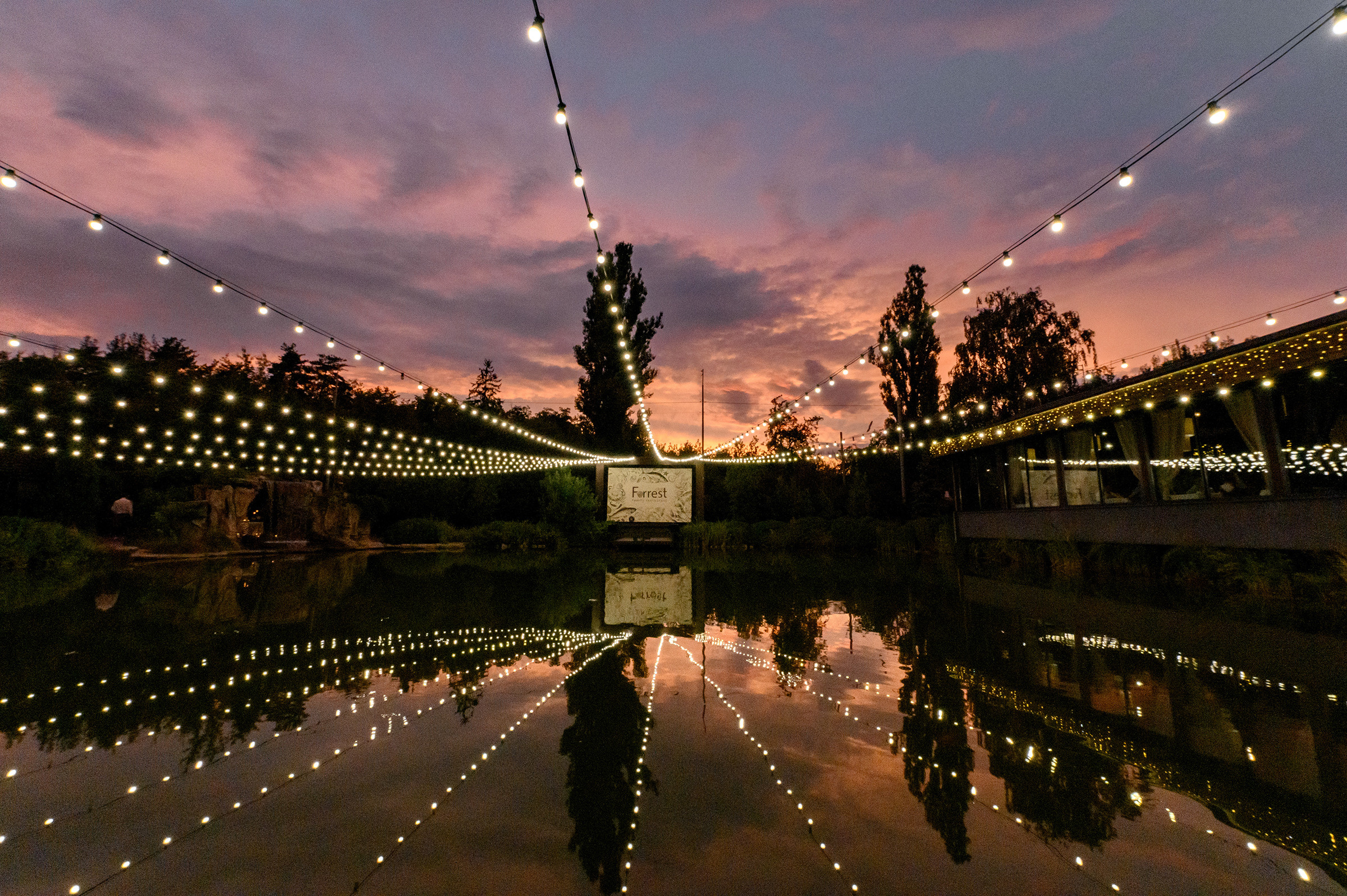 D I A N A «Happy Birthday». Свадебный и семейный фотограф