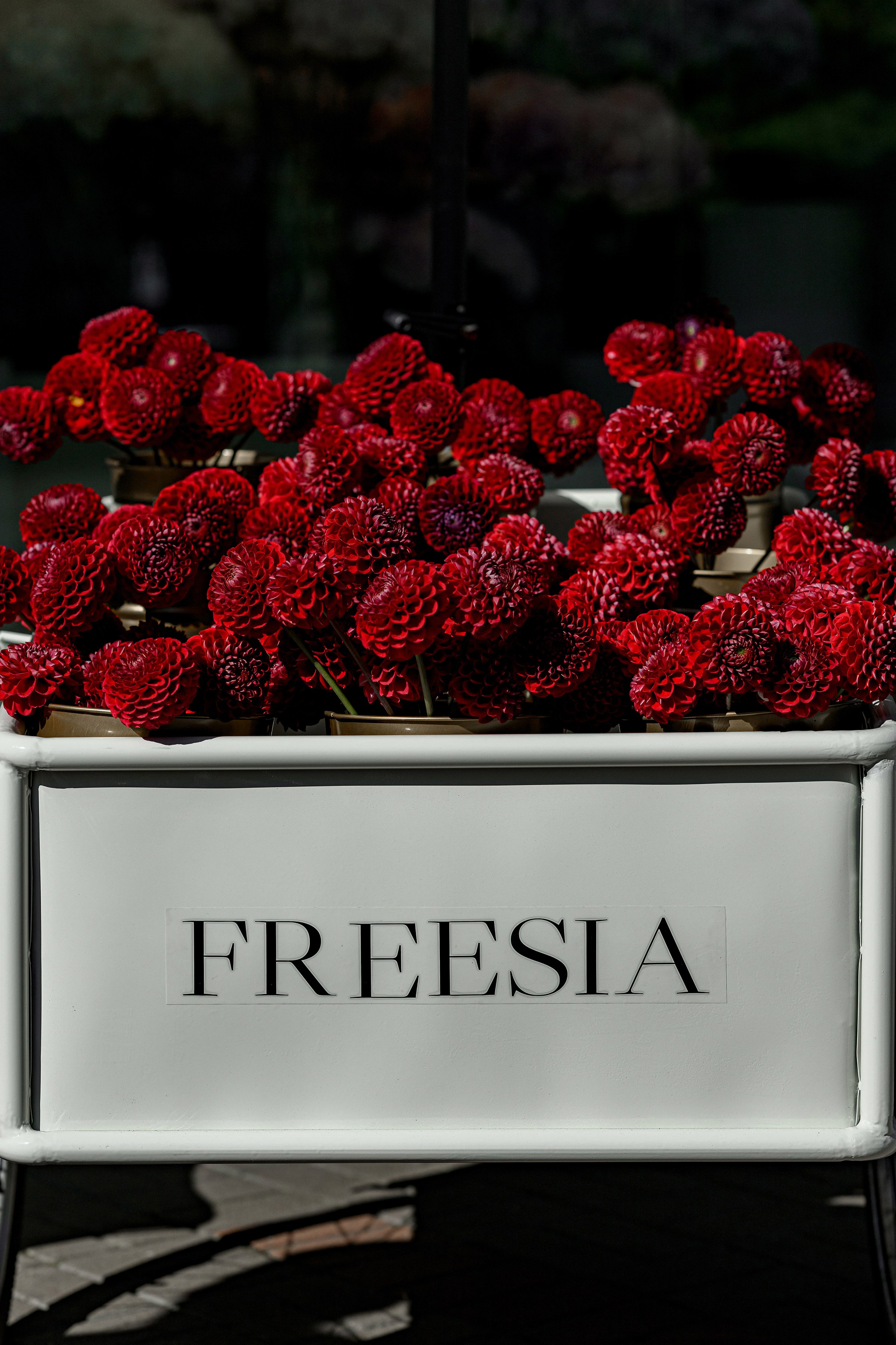 «FREESIA». Свадебный и семейный фотограф