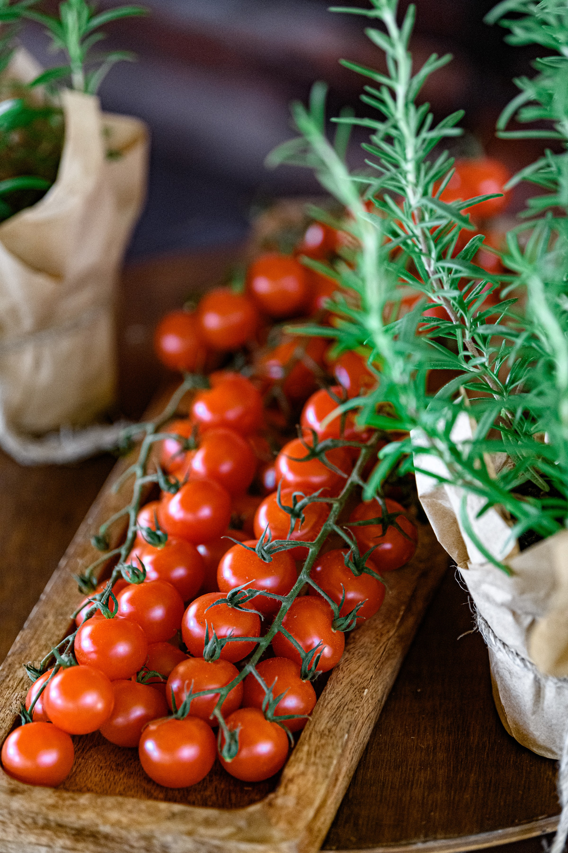 ОЛЕКСІЙ & ЯРОСЛАВА. Свадебный и семейный фотограф