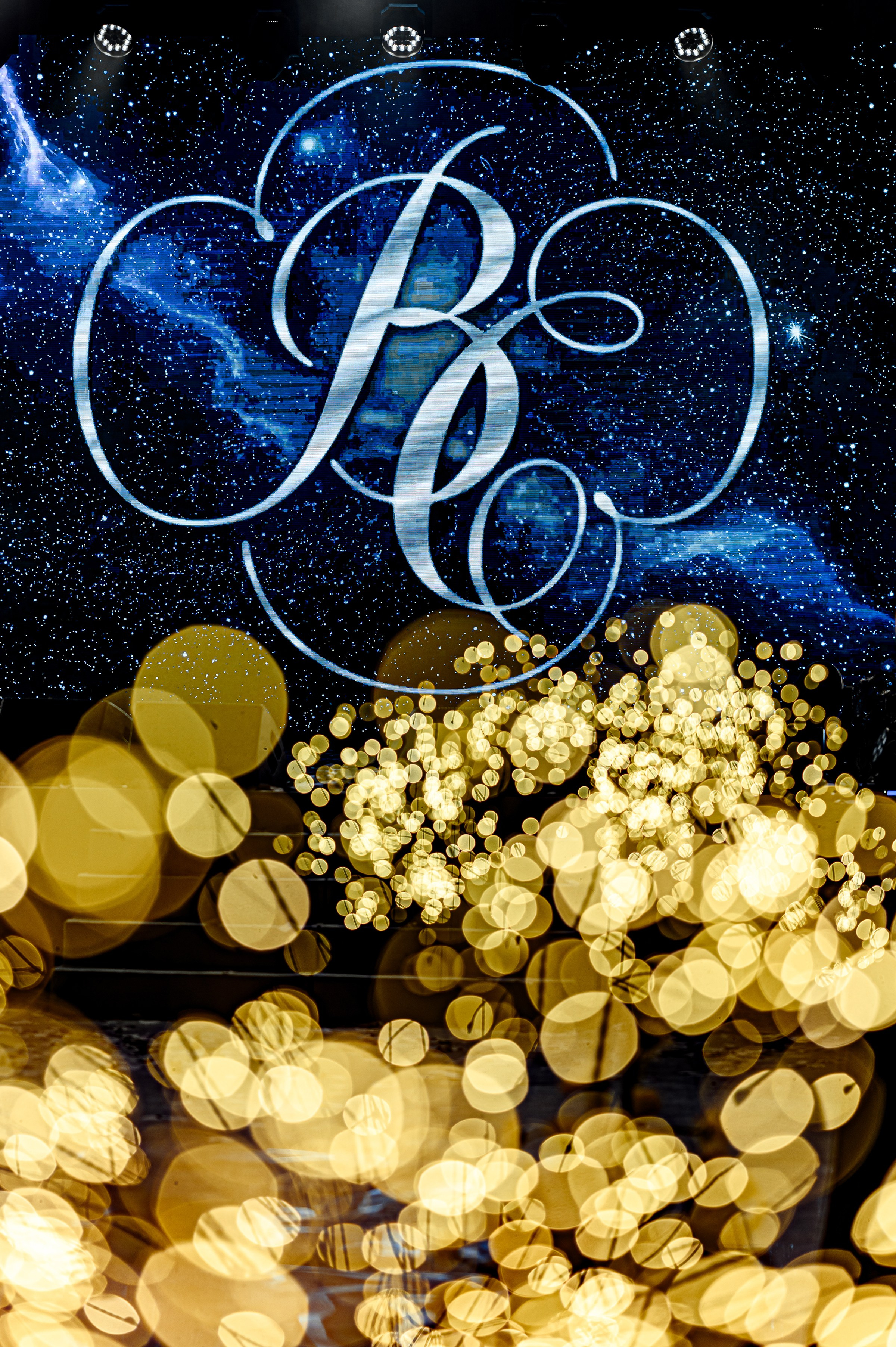 ВАГЕ & СВІТЛАНА. Свадебный и семейный фотограф