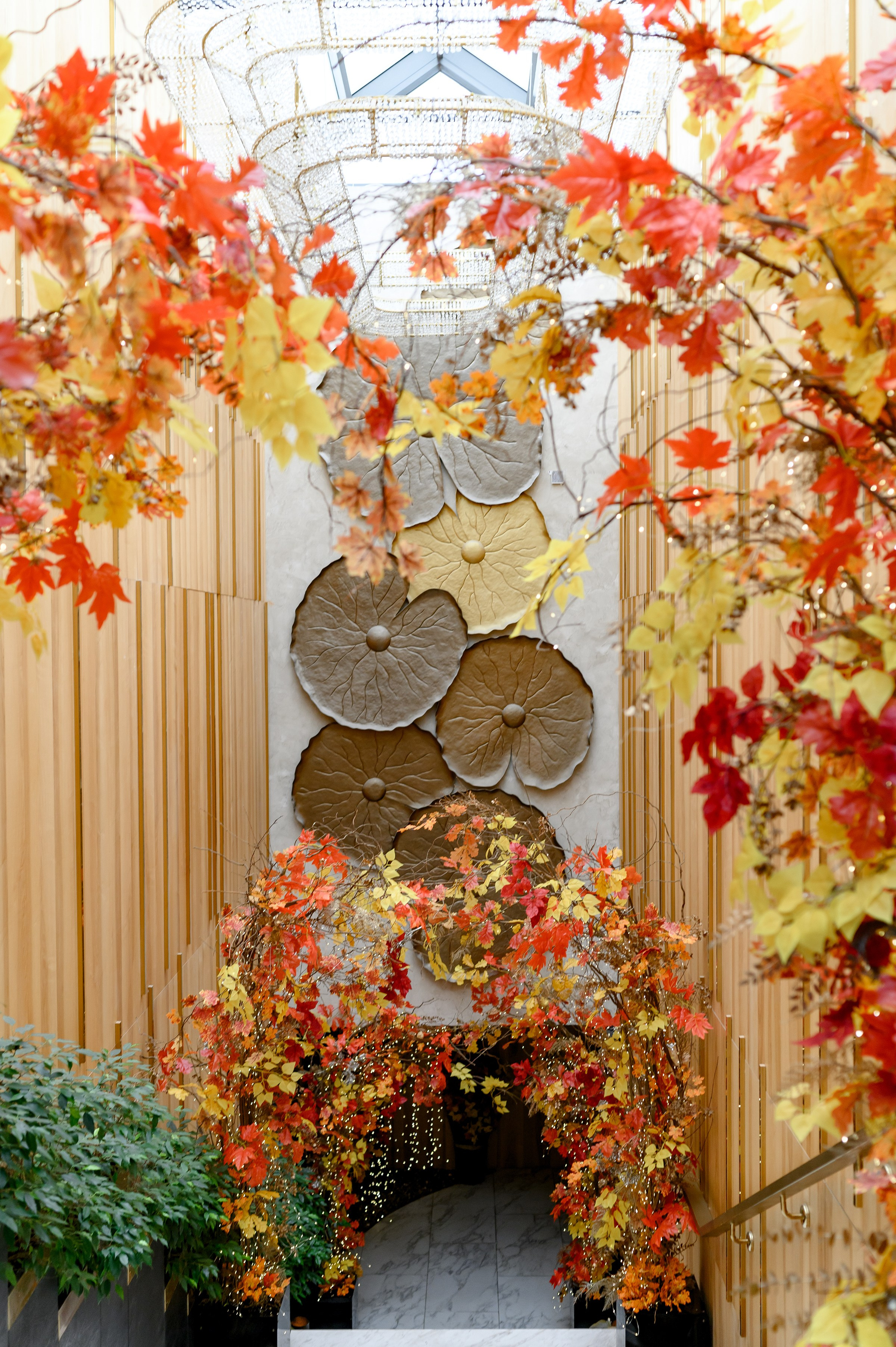 ОЛЕКСІЙ & ГАЛИНА. Свадебный и семейный фотограф