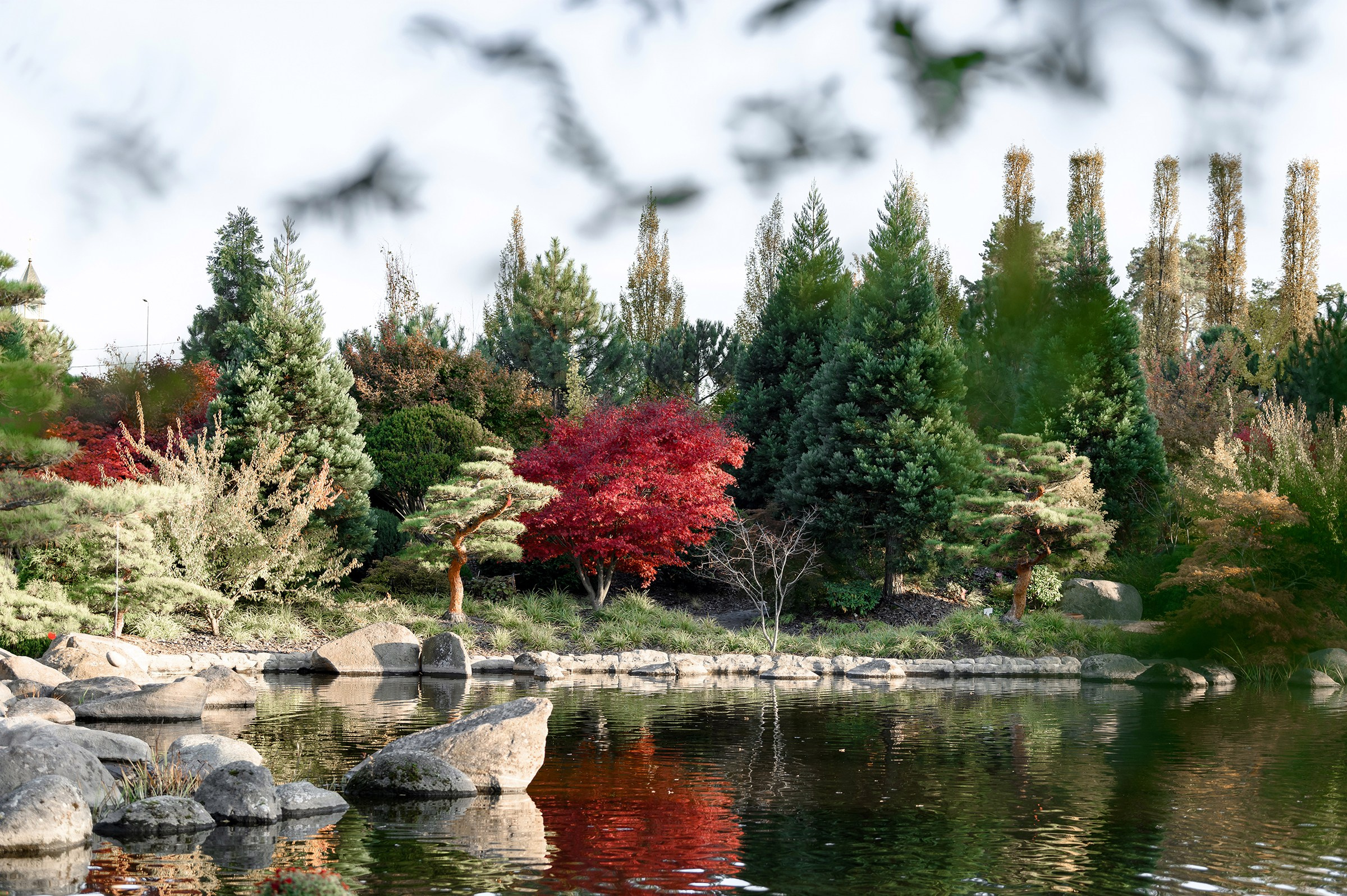 FAMILY AUTUMN. Свадебный и семейный фотограф