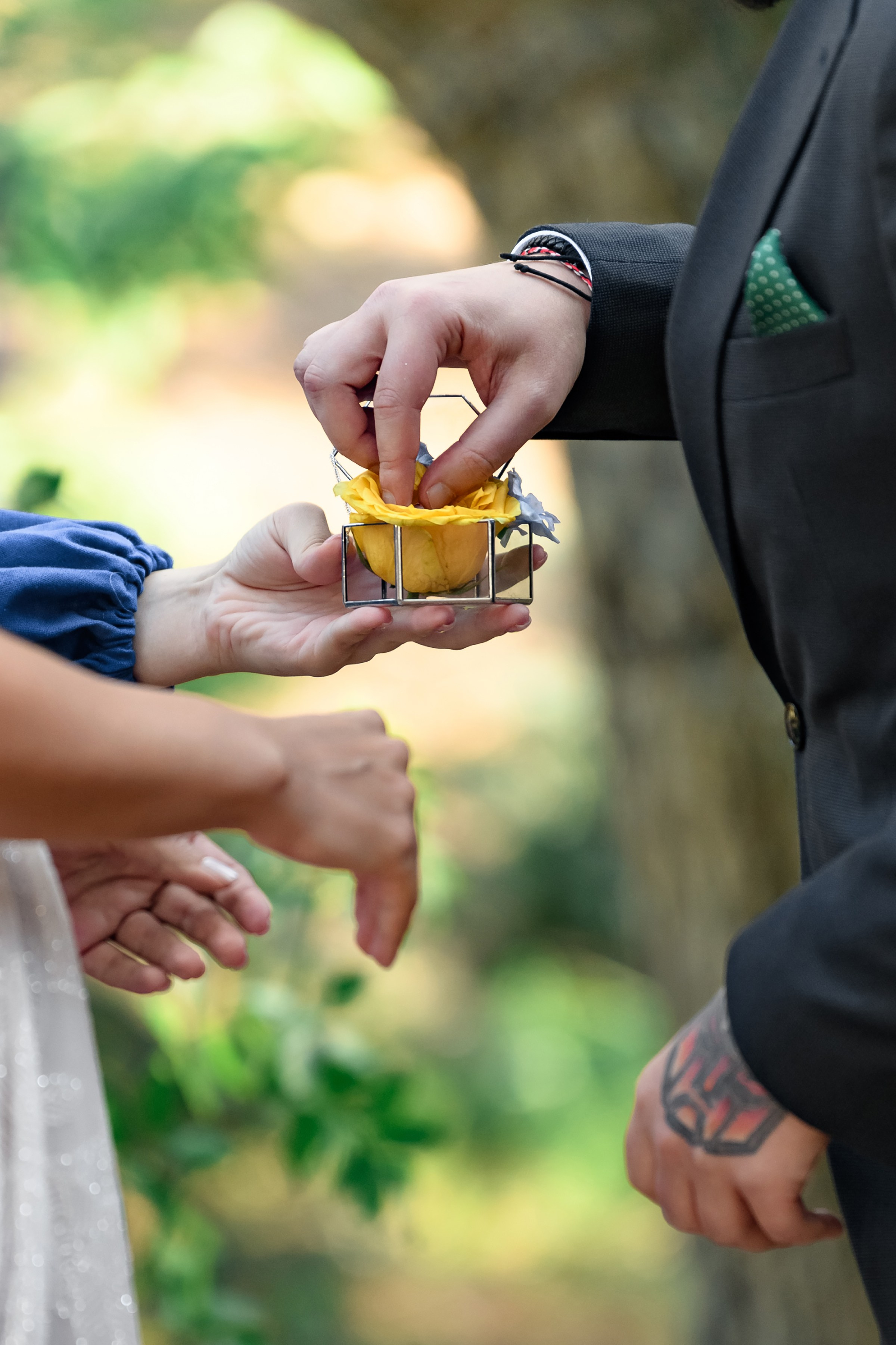 ОЛЕКСІЙ & ЯРОСЛАВА. Свадебный и семейный фотограф