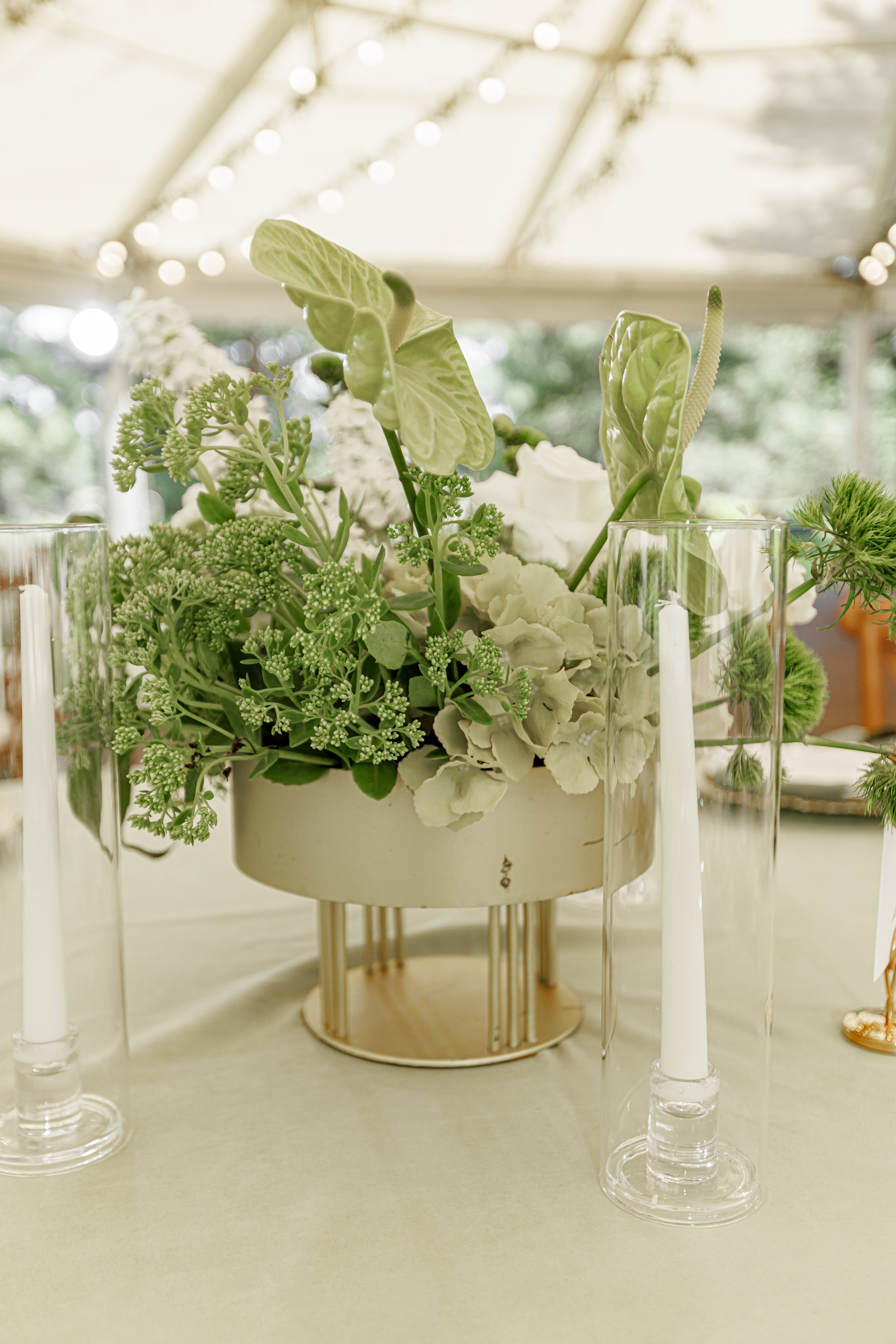 ОЛЕКСІЙ & ДІАНА. Свадебный и семейный фотограф