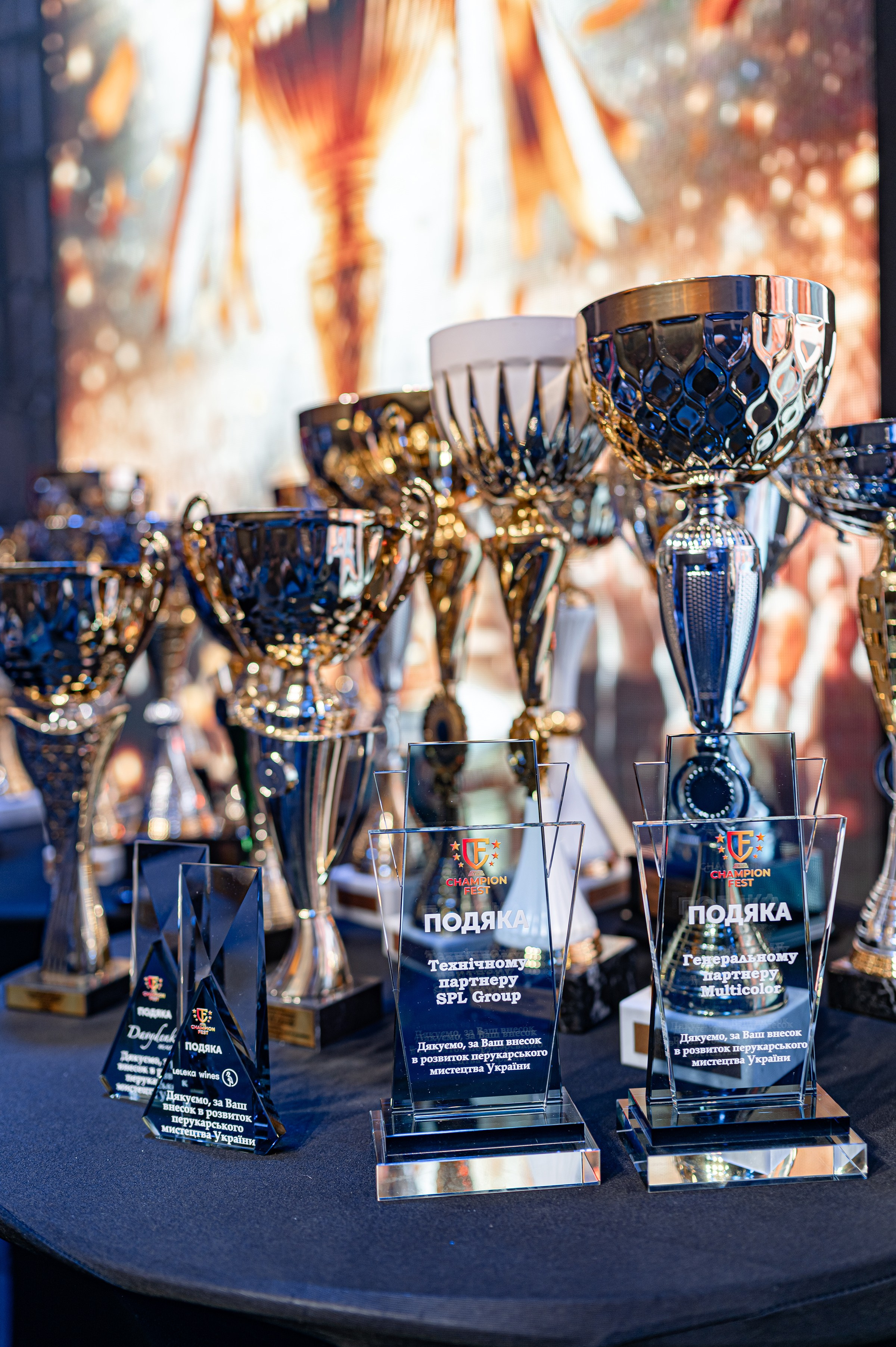 «CHAMPION FEST 2025». Свадебный и семейный фотограф