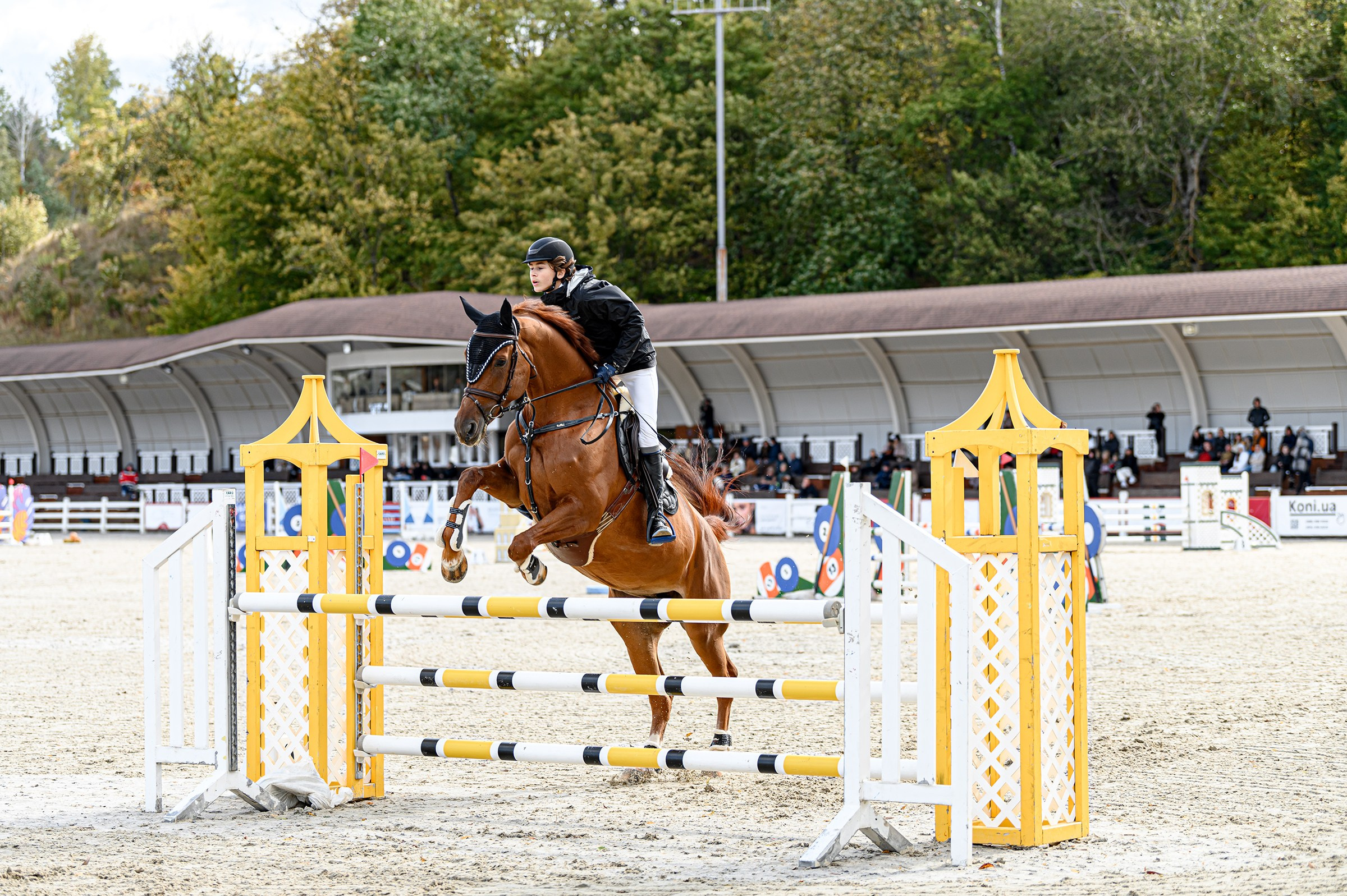 EQUIDES CUP 2023. Свадебный и семейный фотограф