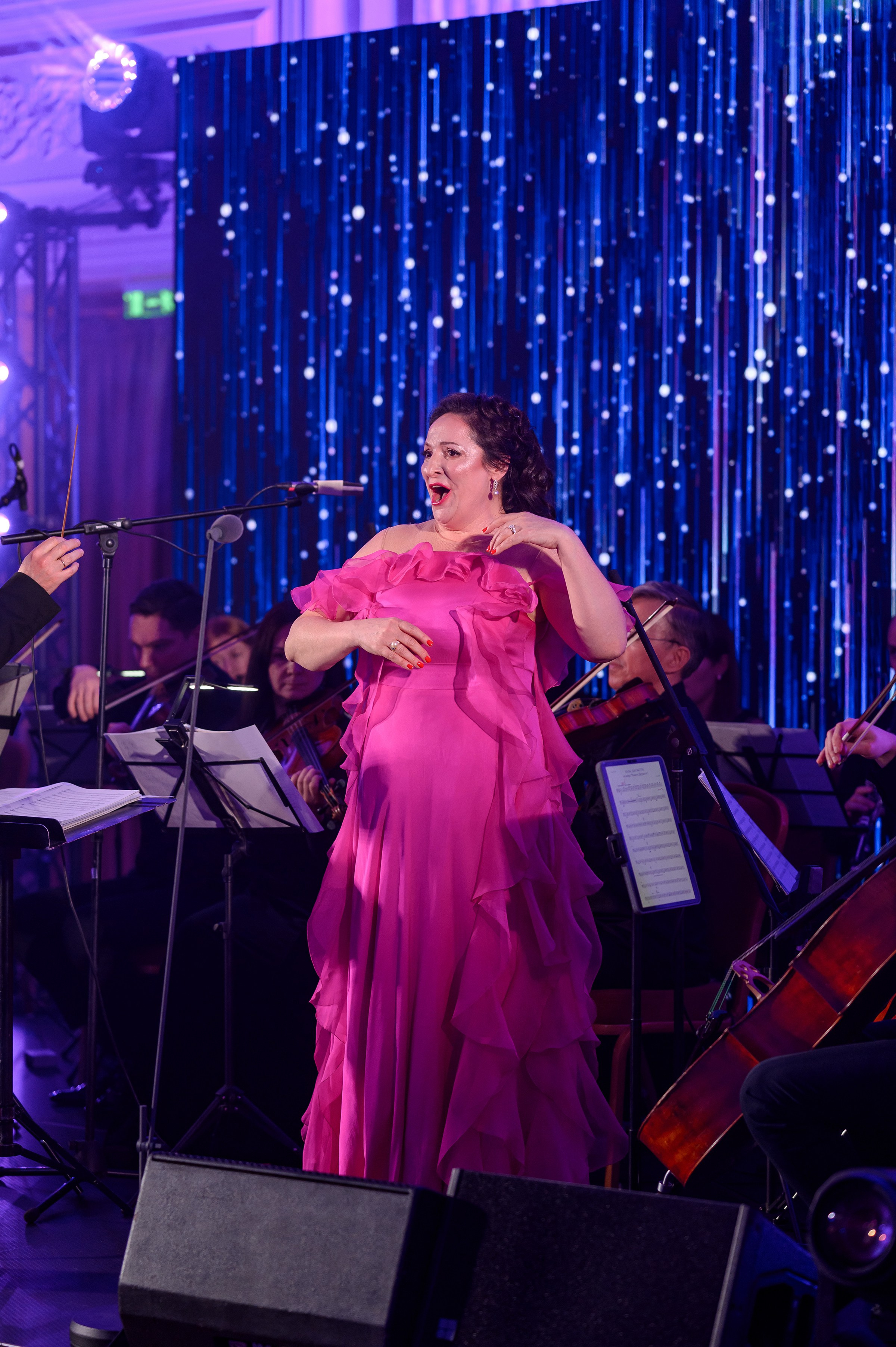 " Viennese Ball Kyiv ". Свадебный и семейный фотограф