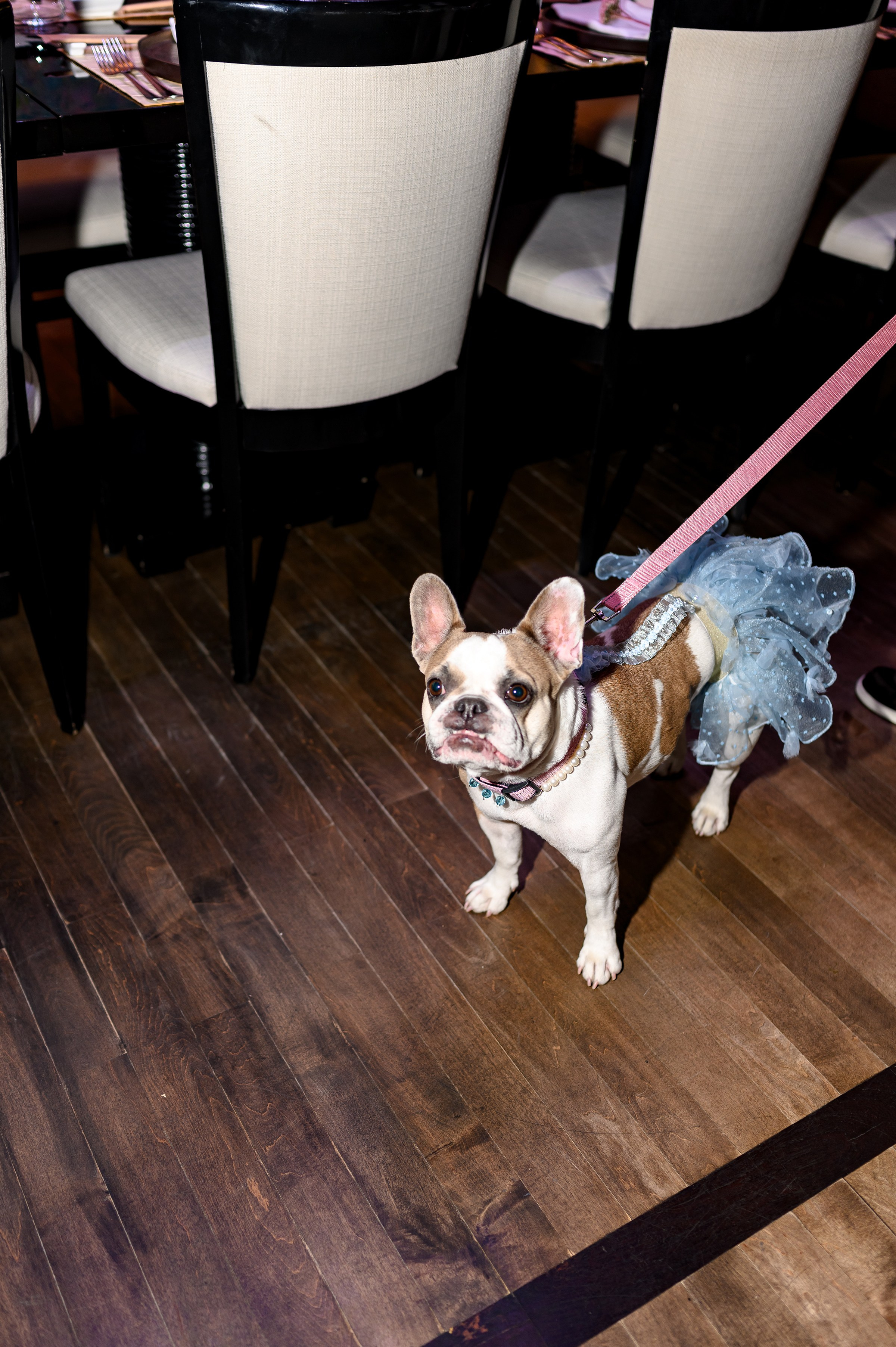 '' HAPPY BIRTHDAY ''. Свадебный и семейный фотограф