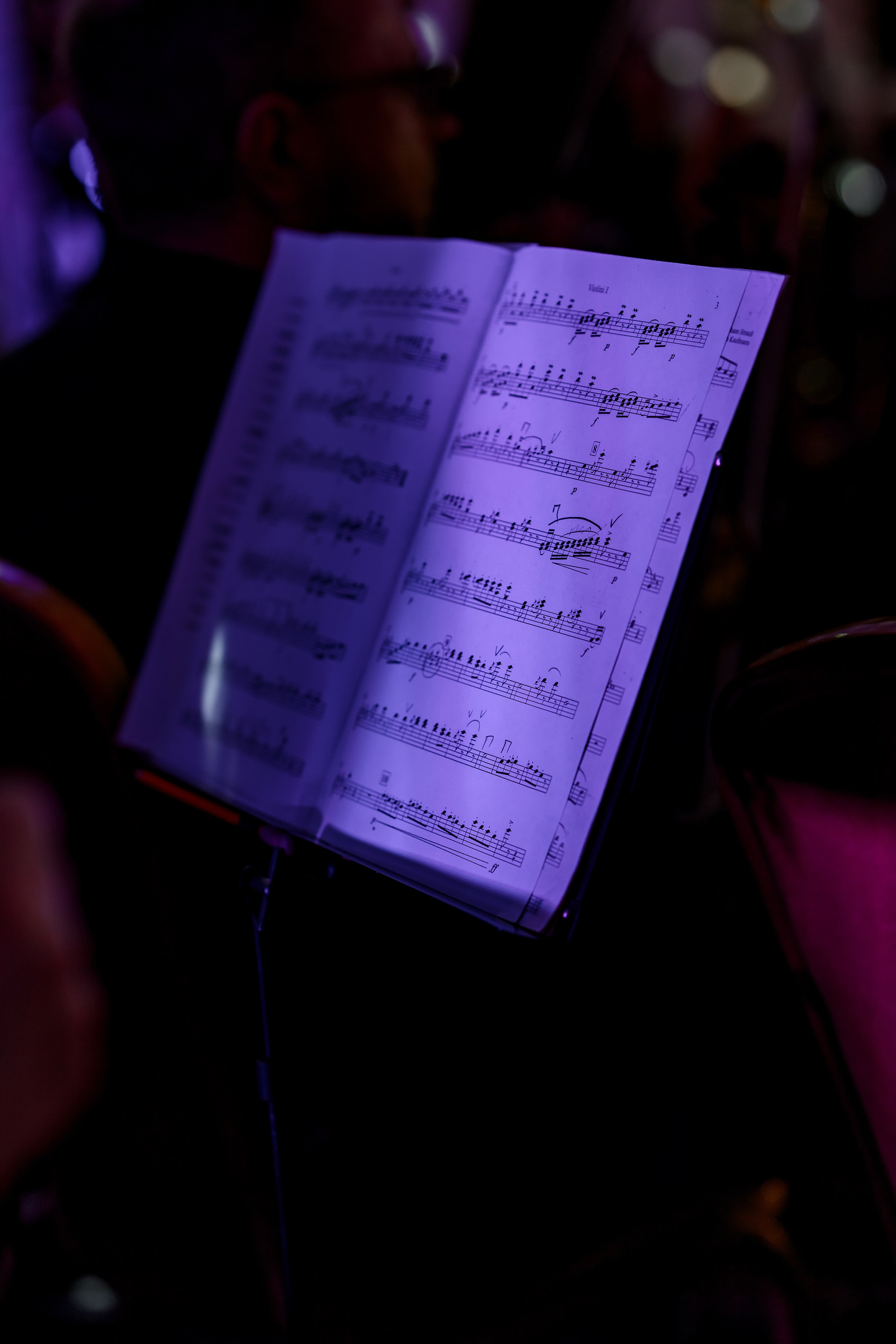 " Viennese Ball Kyiv ". Свадебный и семейный фотограф