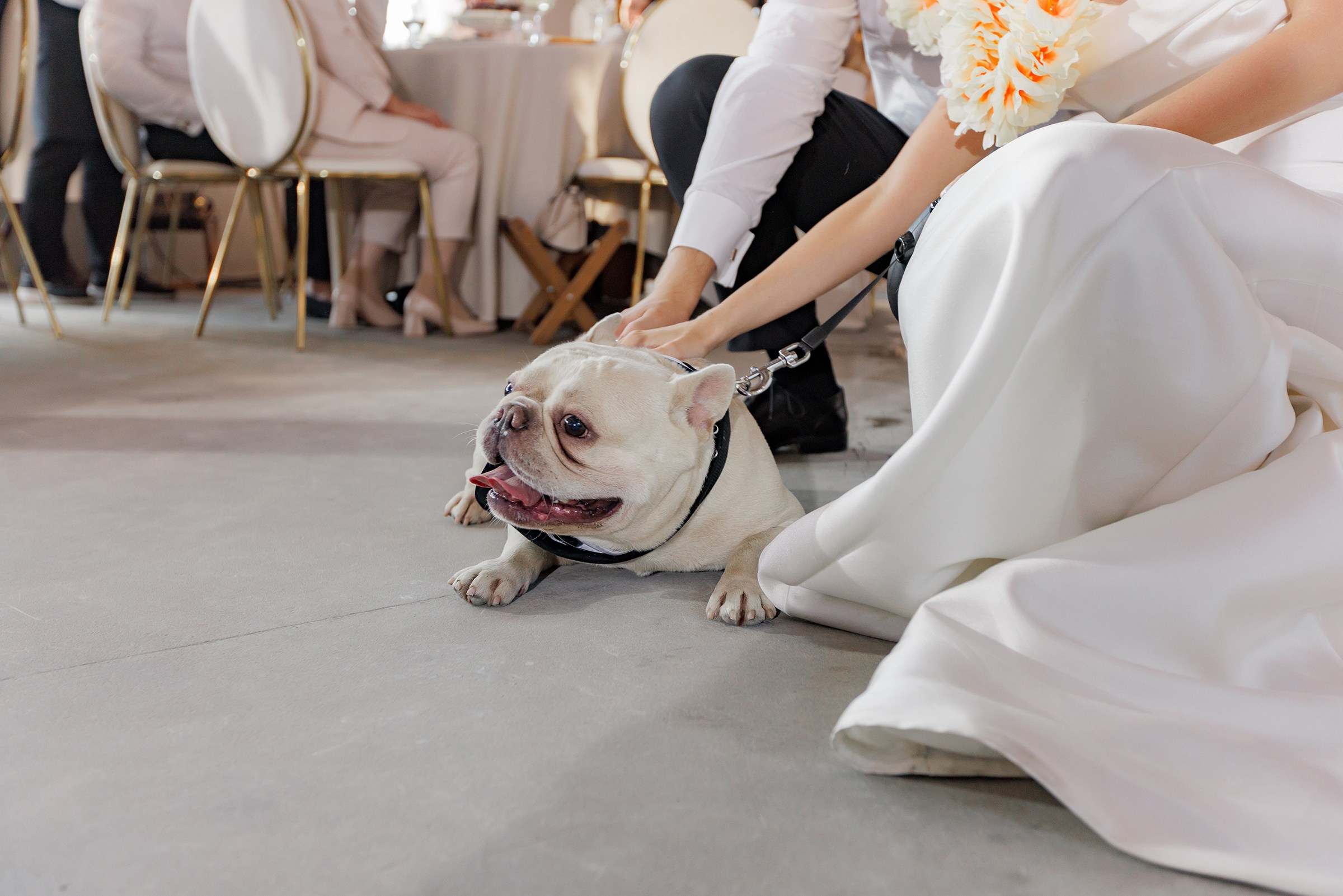 A & Z. Свадебный и семейный фотограф